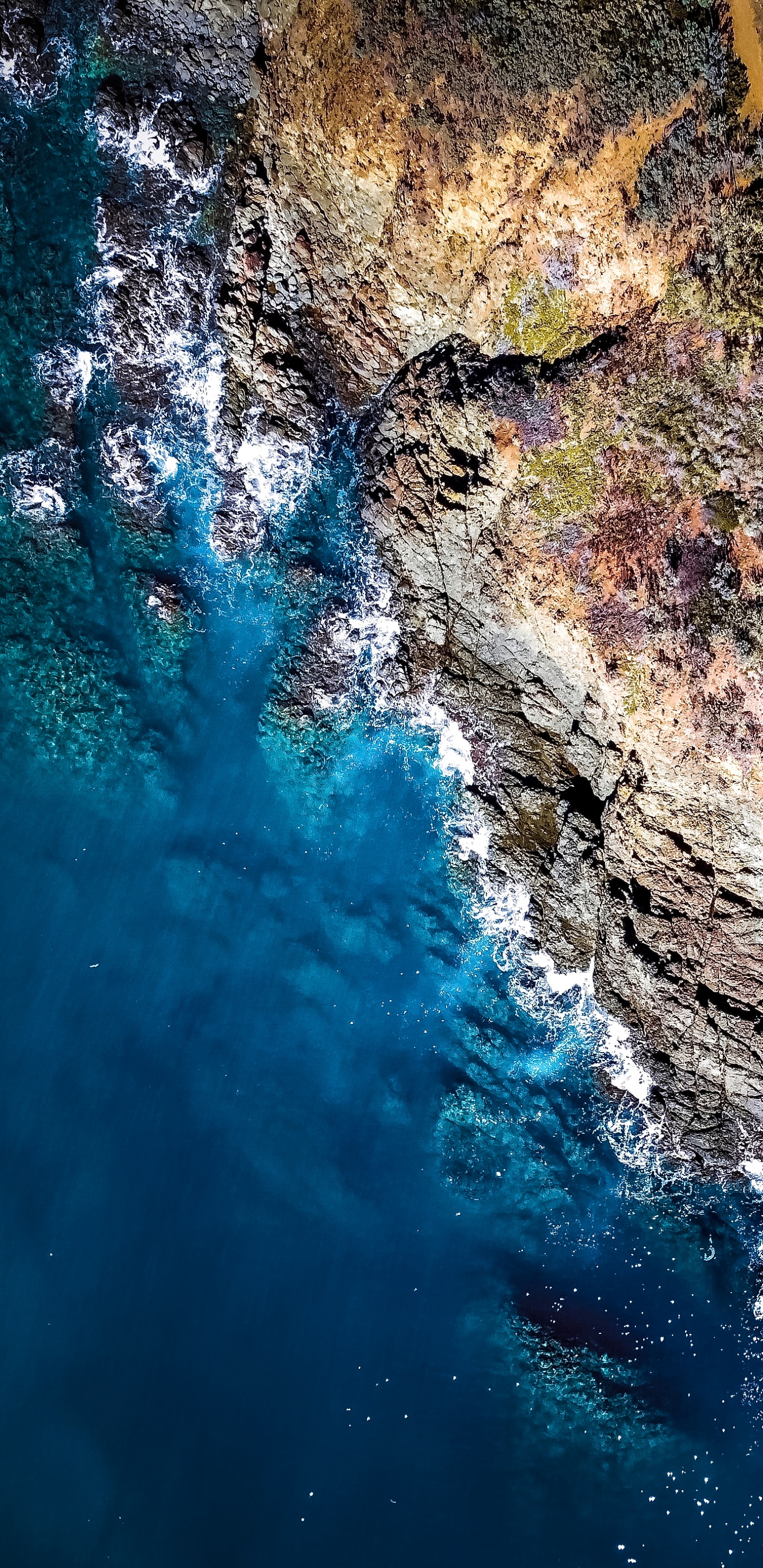 Обои отражение, земля, гидроресурсы, вода, водоем в разрешении 1440x2960