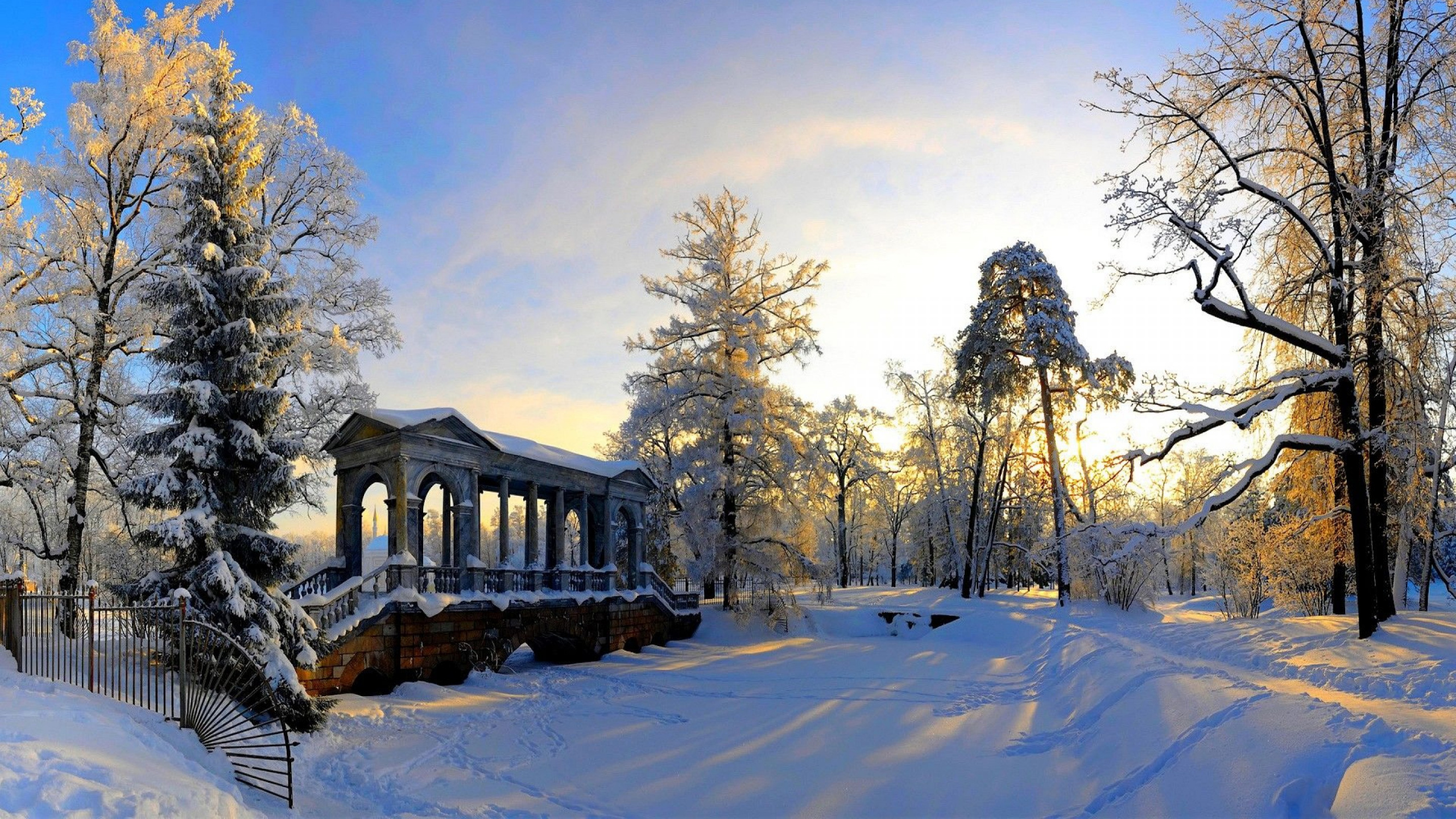 Обои снег, зима, дерево, родина, замораживание в разрешении 2560x1440