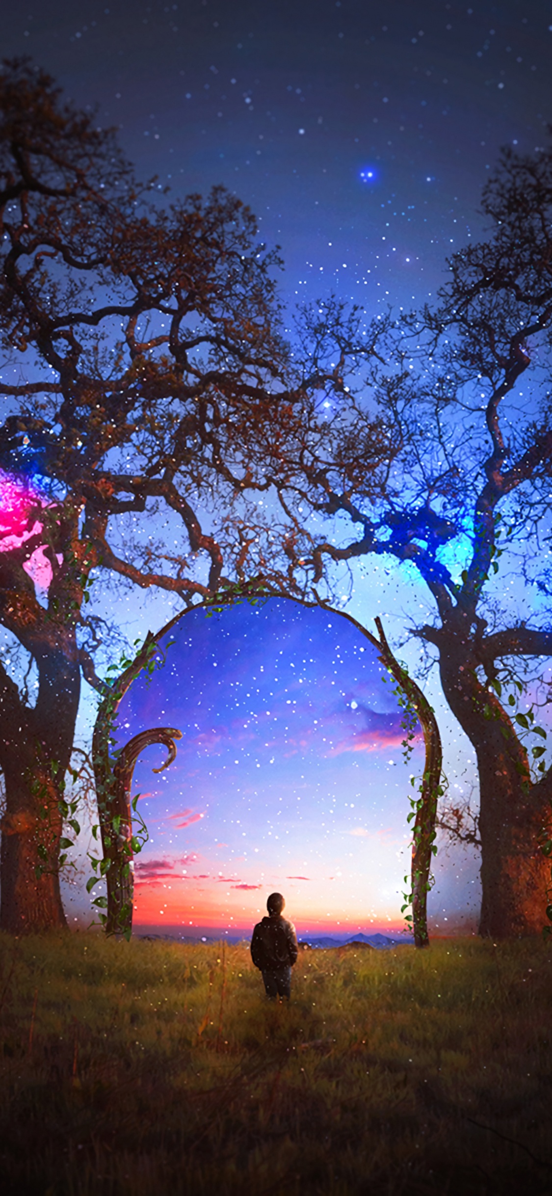 Обои древесные растения, небо, ночь, природный ландшафт, атмосфера в разрешении 1125x2436