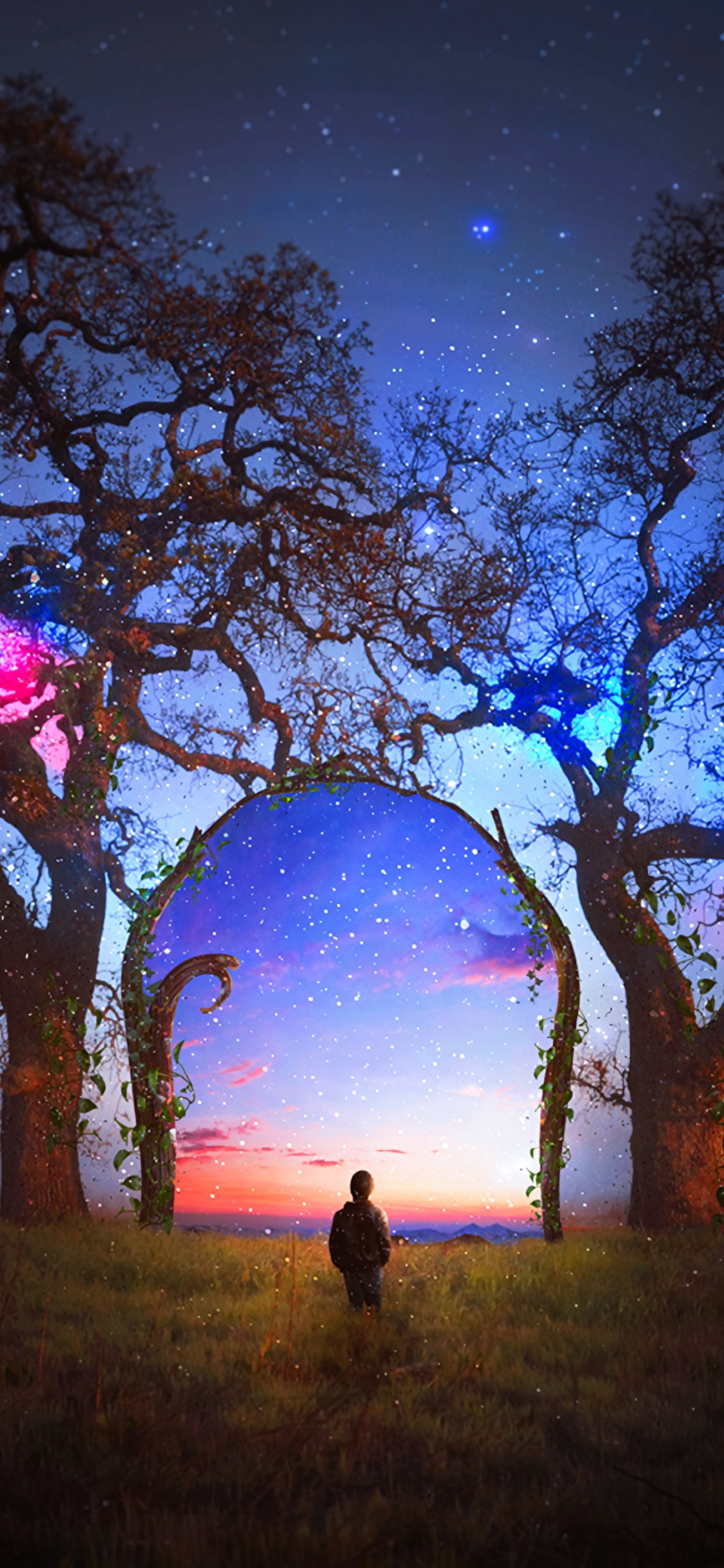 Обои древесные растения, небо, ночь, природный ландшафт, атмосфера в разрешении 1242x2688