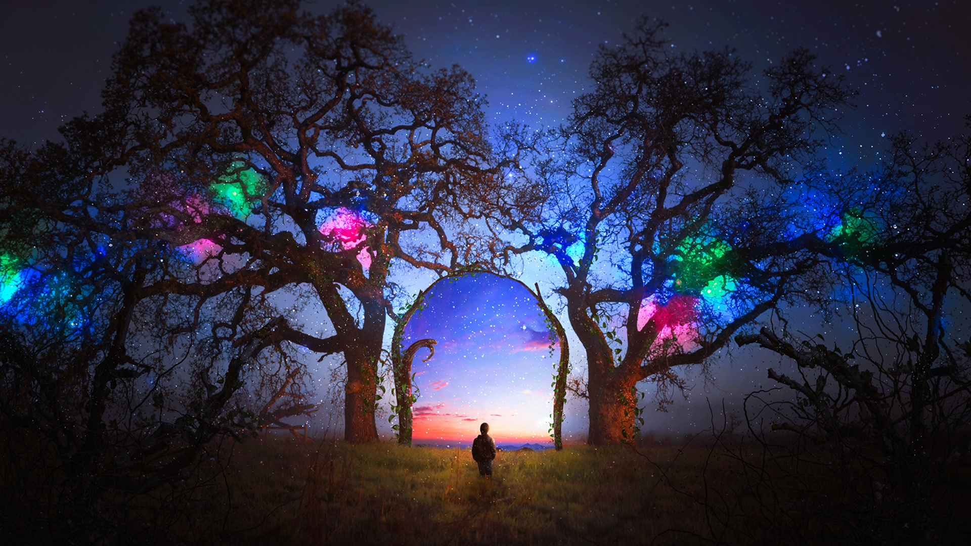 Обои древесные растения, небо, ночь, природный ландшафт, атмосфера в разрешении 1920x1080