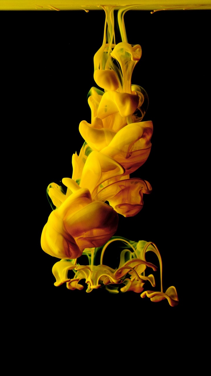 Обои Флора, чернила, растение, цветок, желтый в разрешении 720x1280