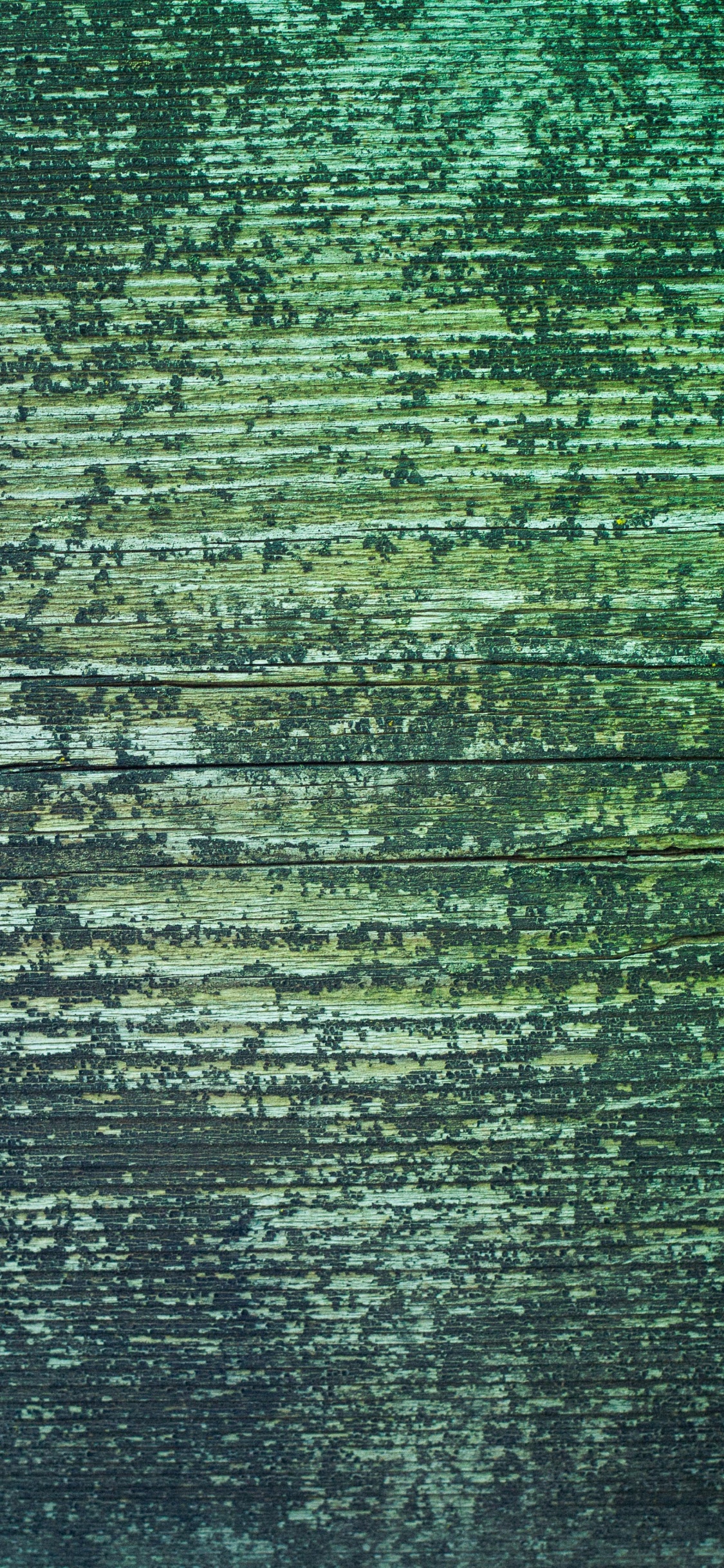 Обои древесина, зеленый, Пять ночей в freddys, Пять ночей в Freddys 3, Прыжок напугать в разрешении 1125x2436