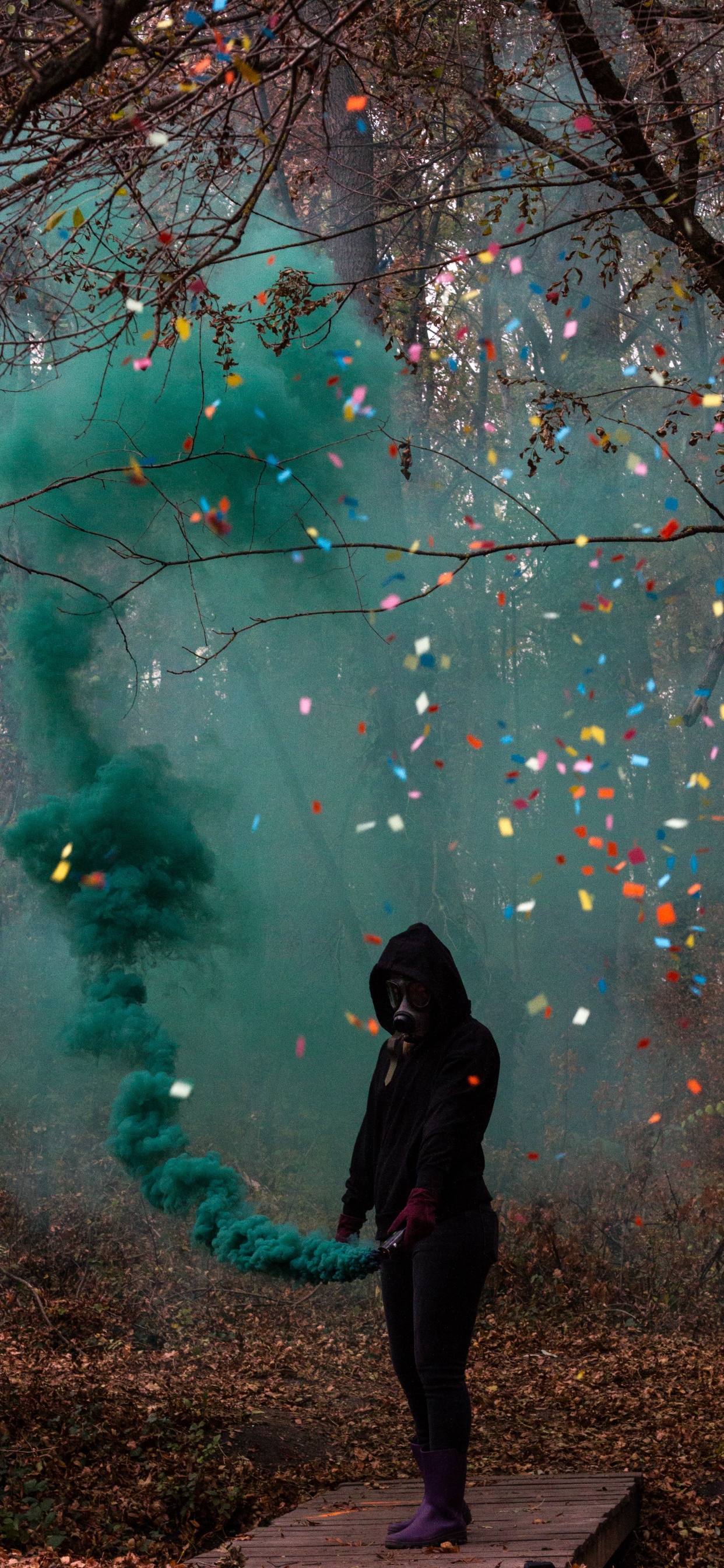 Обои противогаз, зеленый, дерево, свет, ветвь в разрешении 1242x2688