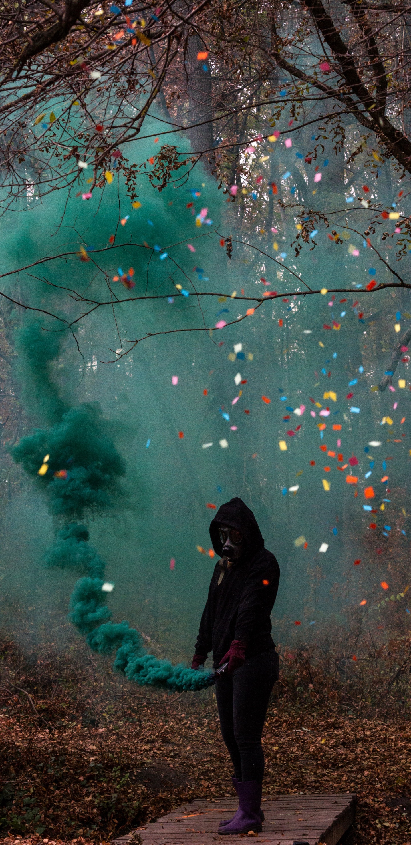 Обои противогаз, зеленый, дерево, свет, ветвь в разрешении 1440x2960