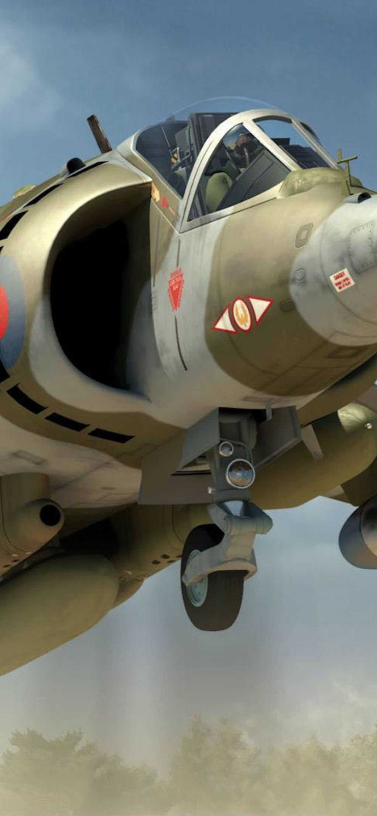 Обои Хоукер Сиддли Харриер, Бритиш аэроспейс Си харриер, самолеты, Бритиш Аэроспейс Харриер II, харриер самолет прыгать в разрешении 1242x2688