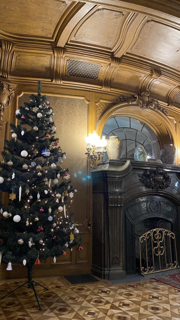 Обои елка, Рождественский день, освещение, этаж, дизайн интерьера в разрешении 720x1280