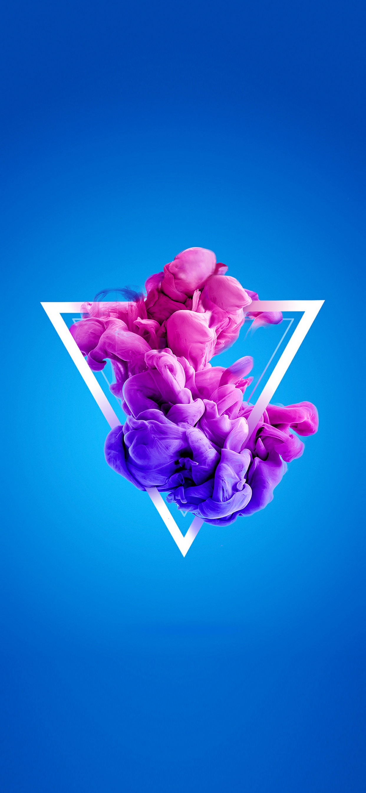 Обои цветок, лепесток, пурпур, жест, розовый в разрешении 1242x2688