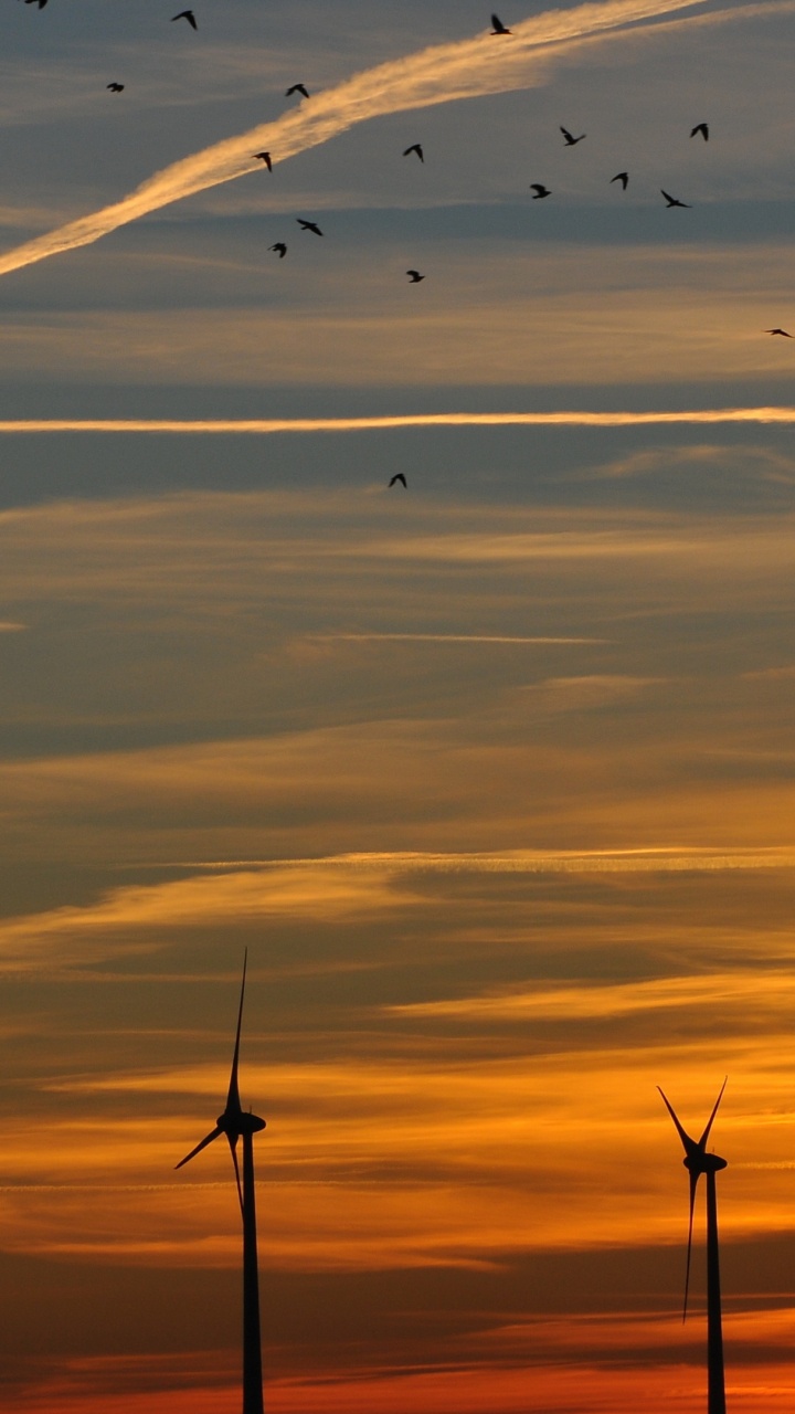 Обои закат, послесвечение, вечер, утро, горизонт в разрешении 720x1280