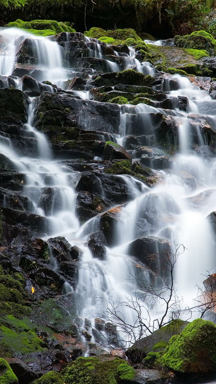 Обои водопад, Ярра Диапазоны Национальный Парк, водоток, гидроресурсы, водоем в разрешении 720x1280