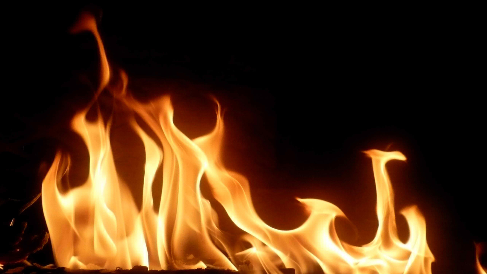 Обои огонь, пламя, тепло, костер, пожарная безопасность в разрешении 1920x1080