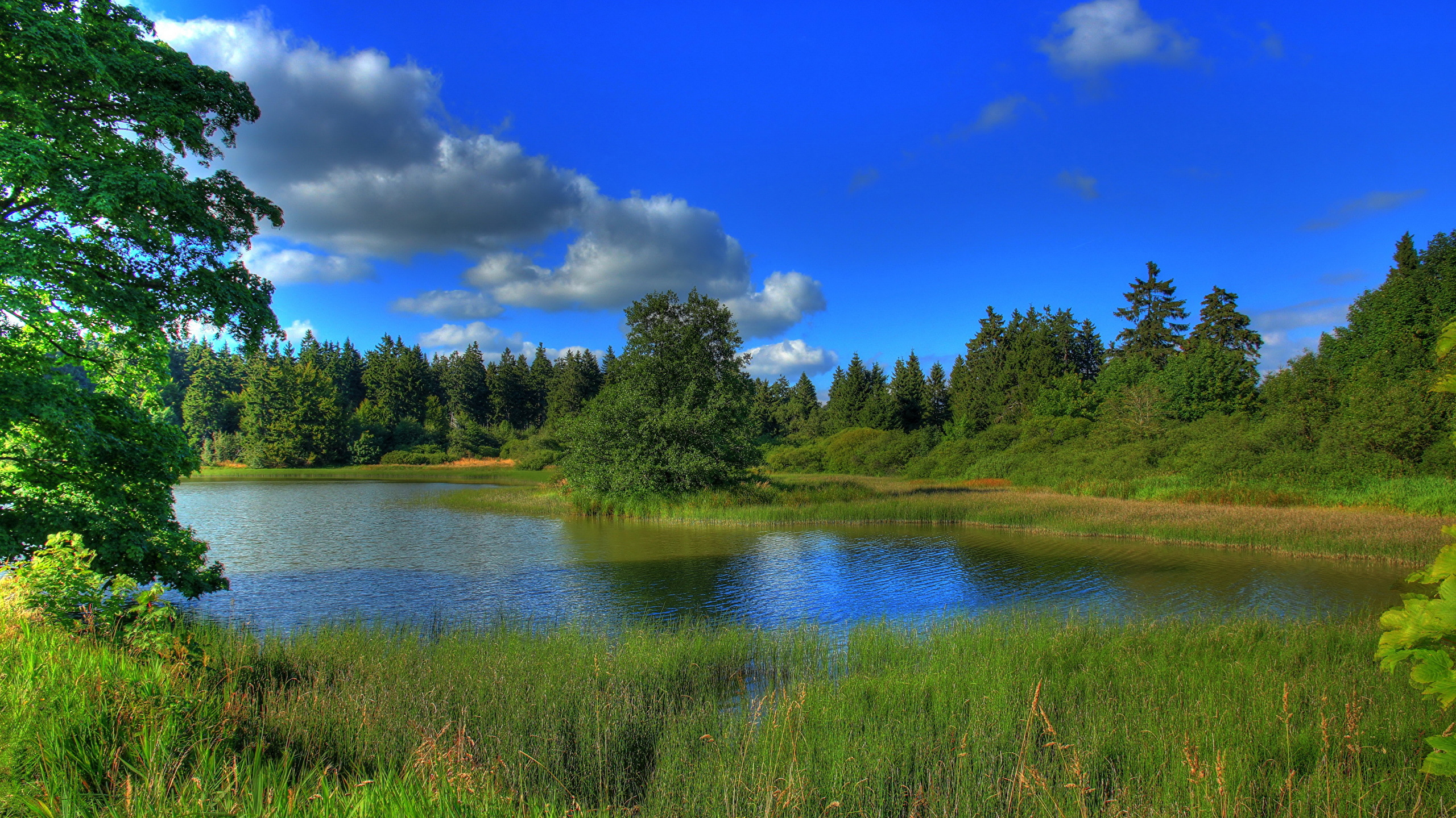 Обои природа, водоем, отражение, дикая местность, озеро в разрешении 2560x1440