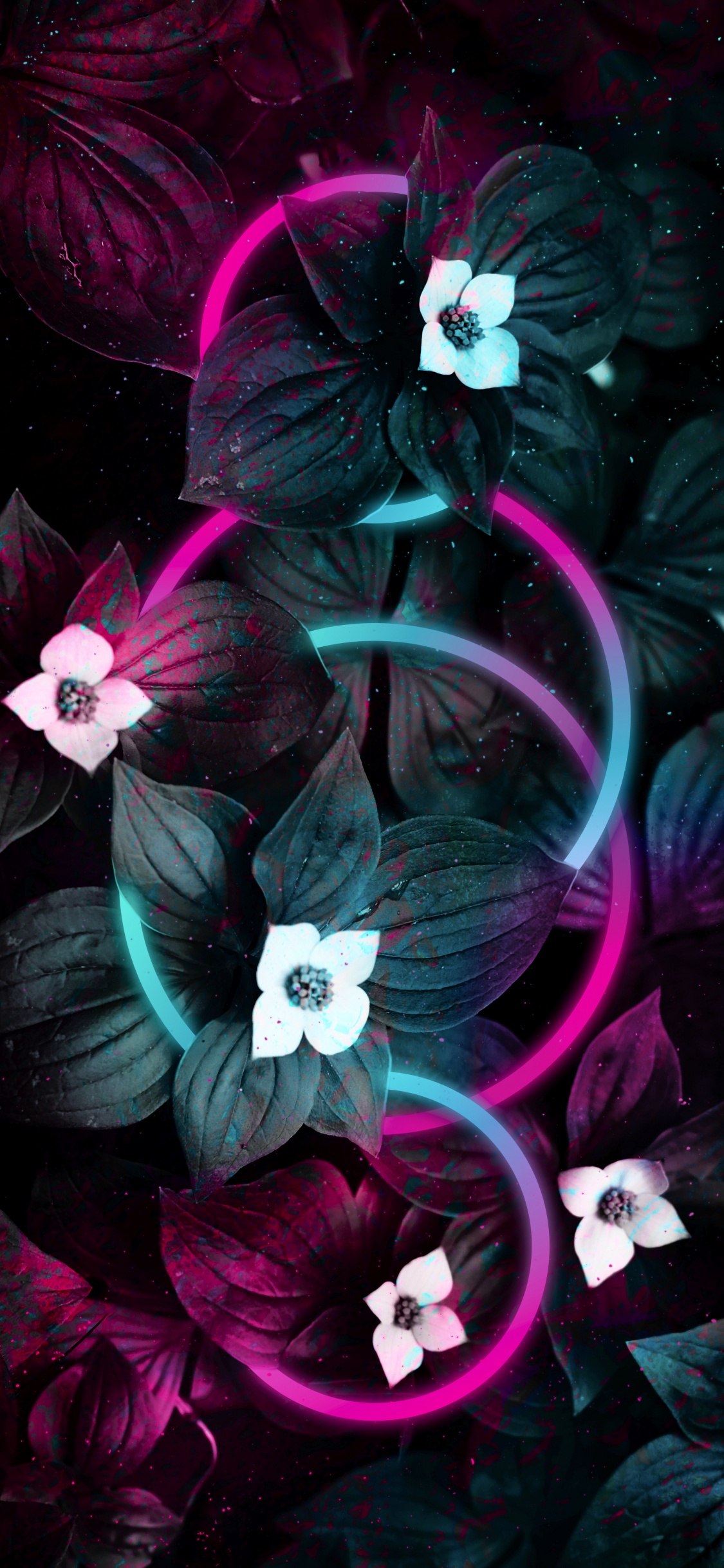 Обои цветок, яблоко, пурпур, лепесток, Фиолетовый в разрешении 1125x2436