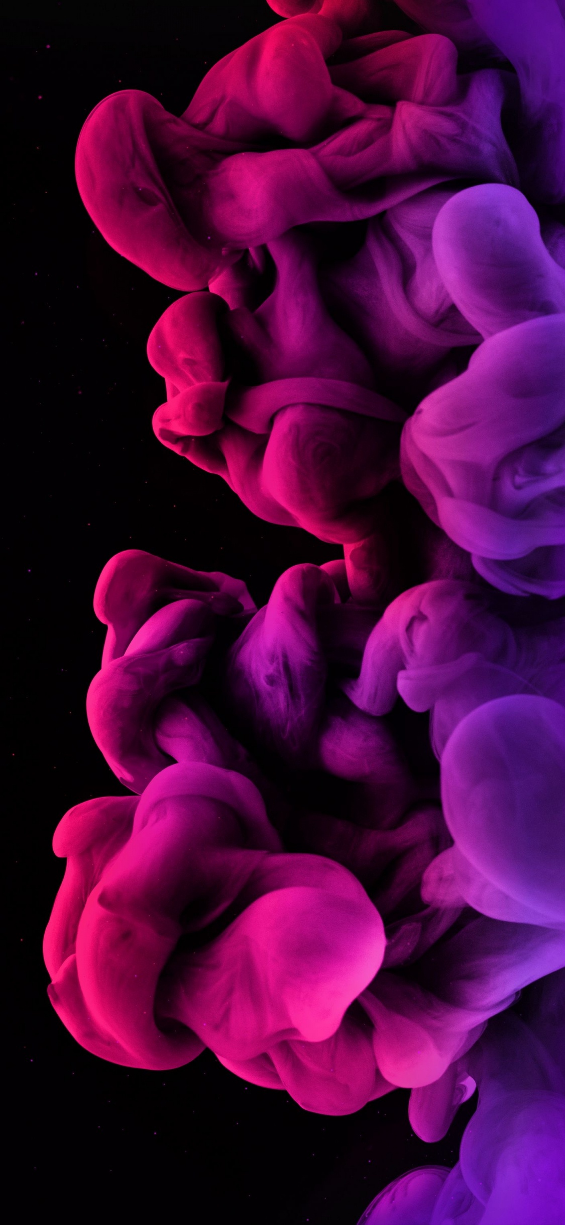 Обои лепесток, пурпур, жест, растение, розовый в разрешении 1125x2436