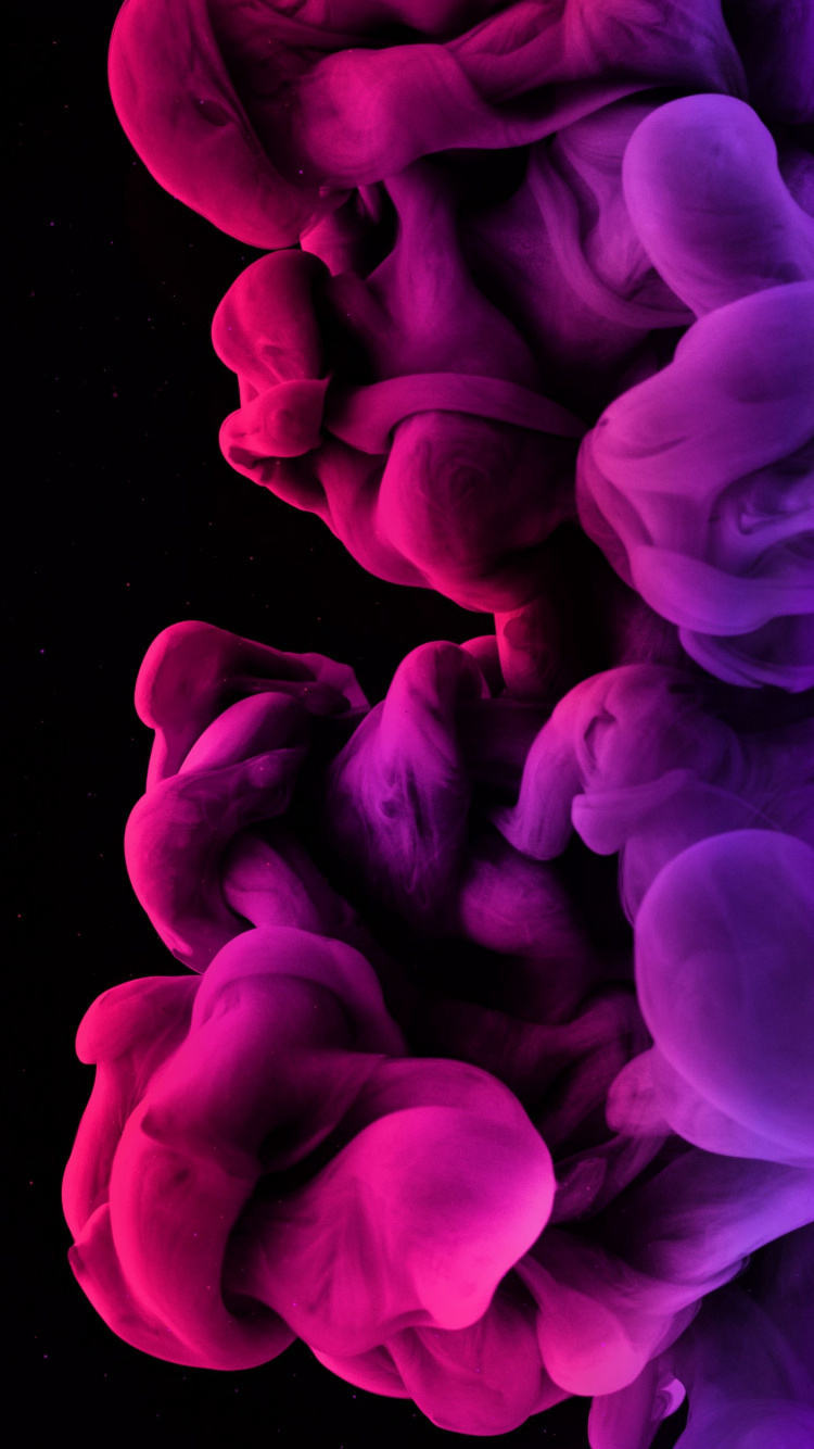 Обои лепесток, пурпур, жест, растение, розовый в разрешении 750x1334