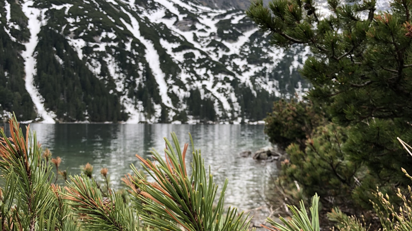 Обои природа, горный рельеф, горный хребет, гора, древесные растения в разрешении 1366x768