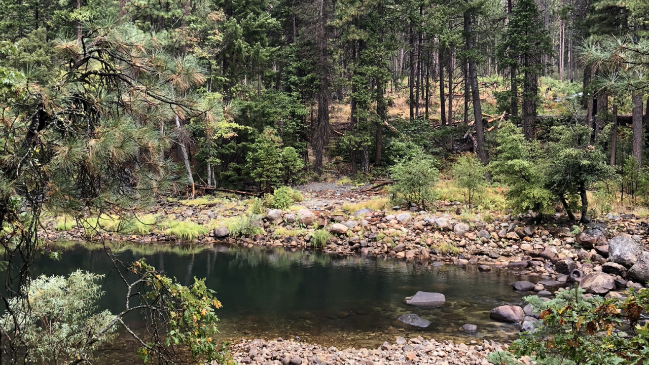 Обои дикая местность, растительность, биом, хвойными лесами, окружающая среда в разрешении 1280x720