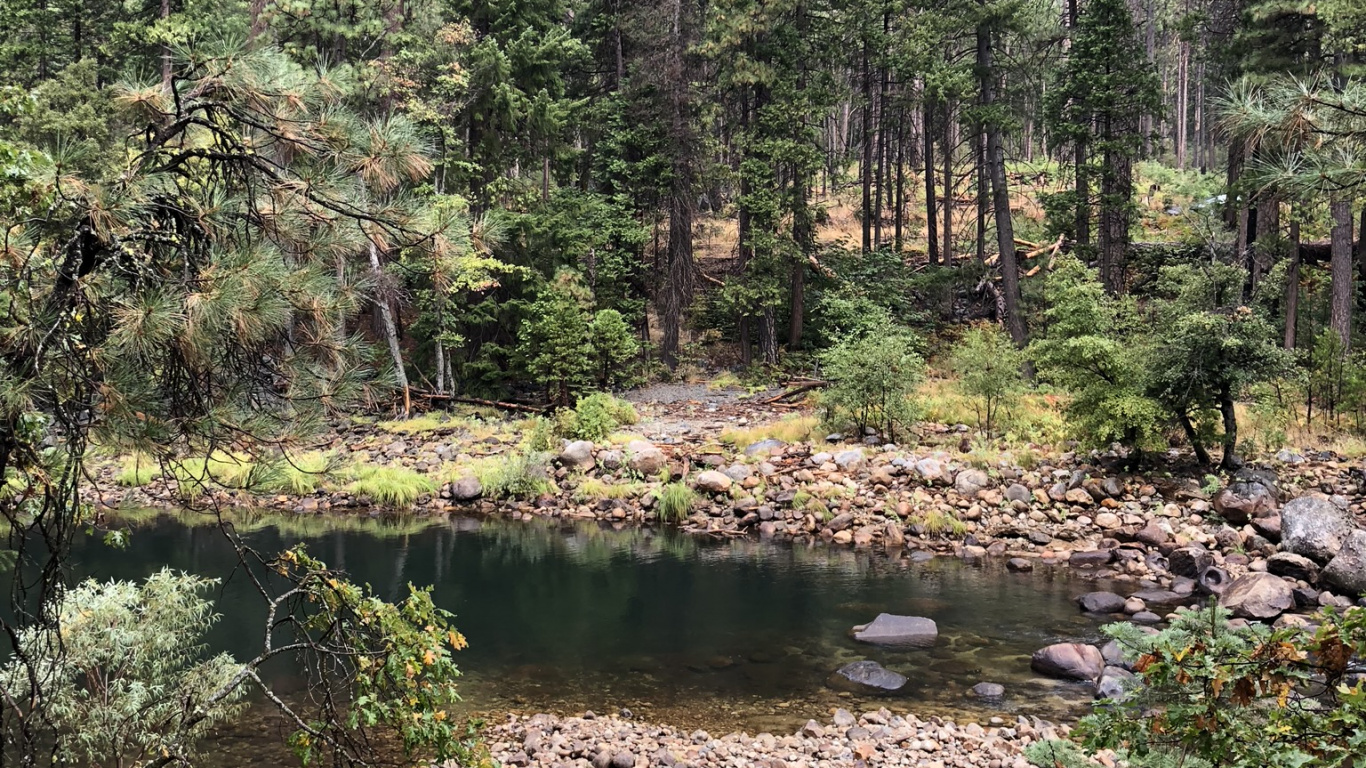 Обои дикая местность, растительность, биом, хвойными лесами, окружающая среда в разрешении 1366x768