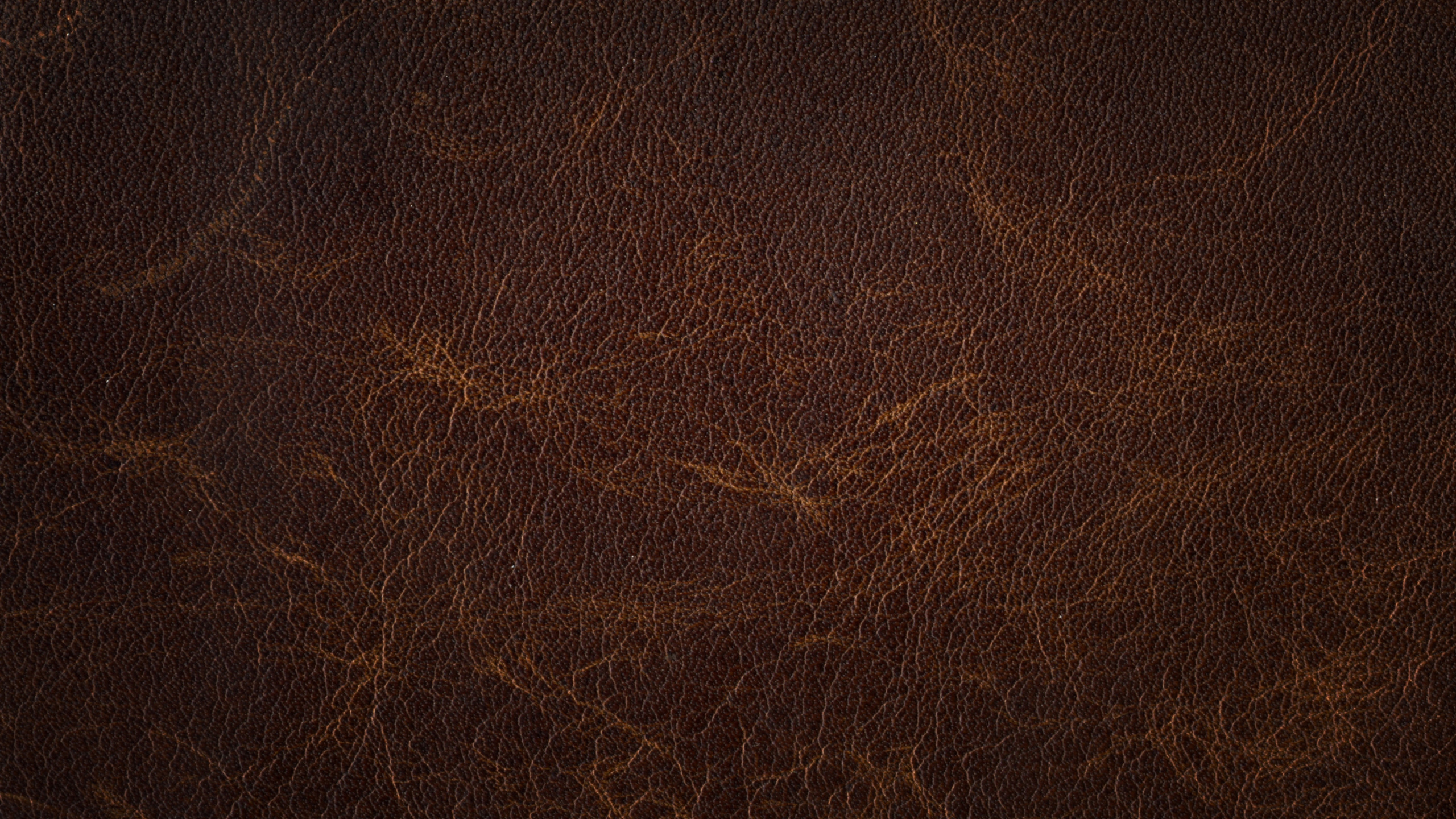 Обои кожа, коричневый цвет, древесина, бумага, черный в разрешении 2560x1440