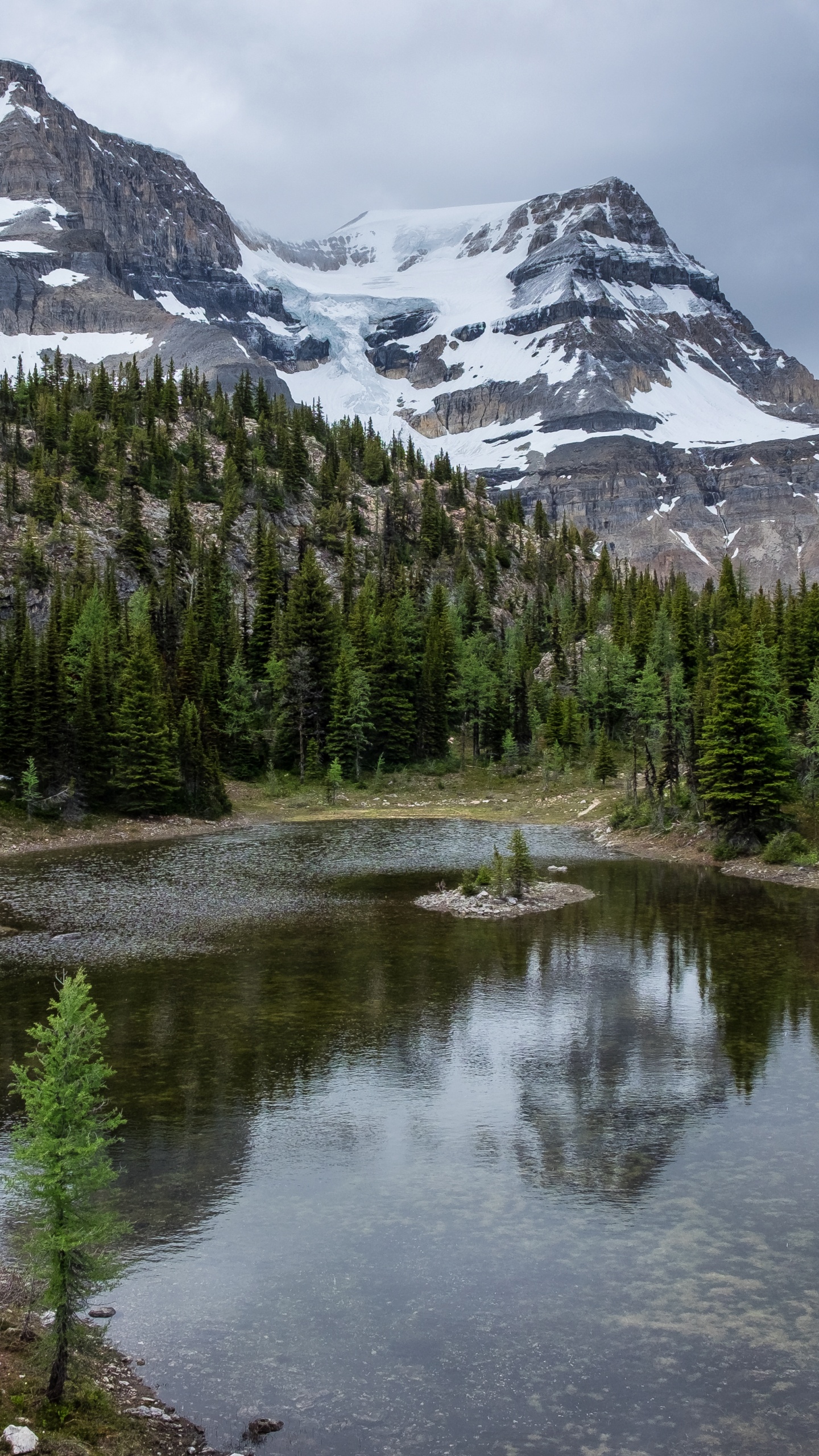 Обои дикая местность, вода, облако, гора, растение в разрешении 1440x2560