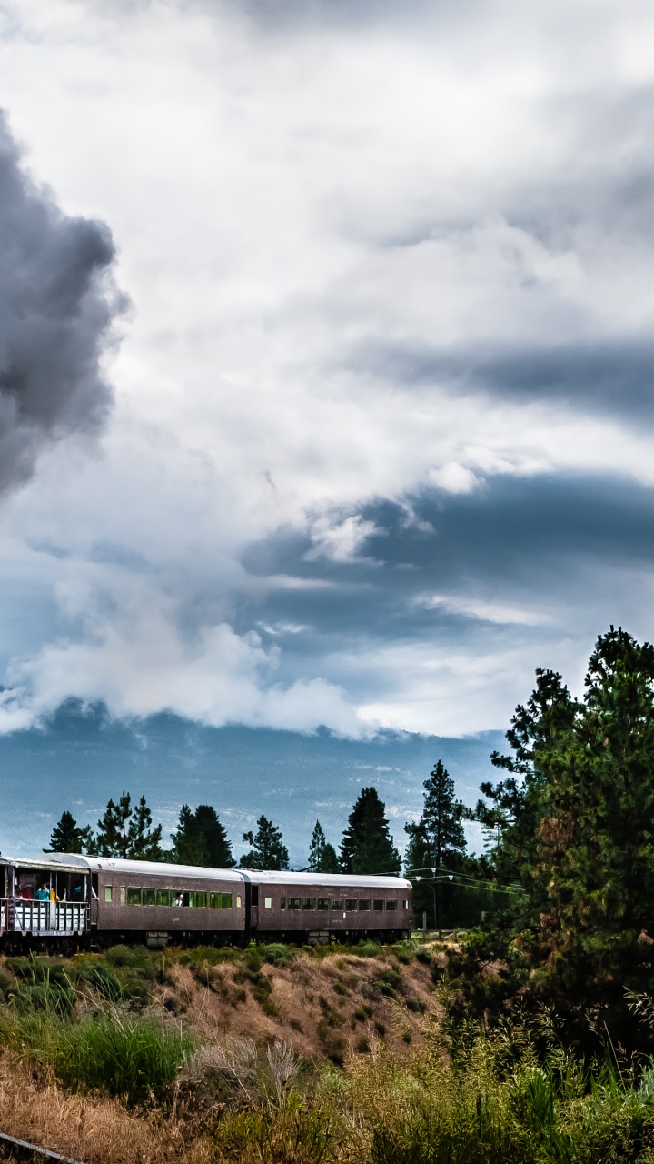 Обои поезд, железнодорожный транспорт, паровоз, железнодорожный вокзал, облако в разрешении 720x1280