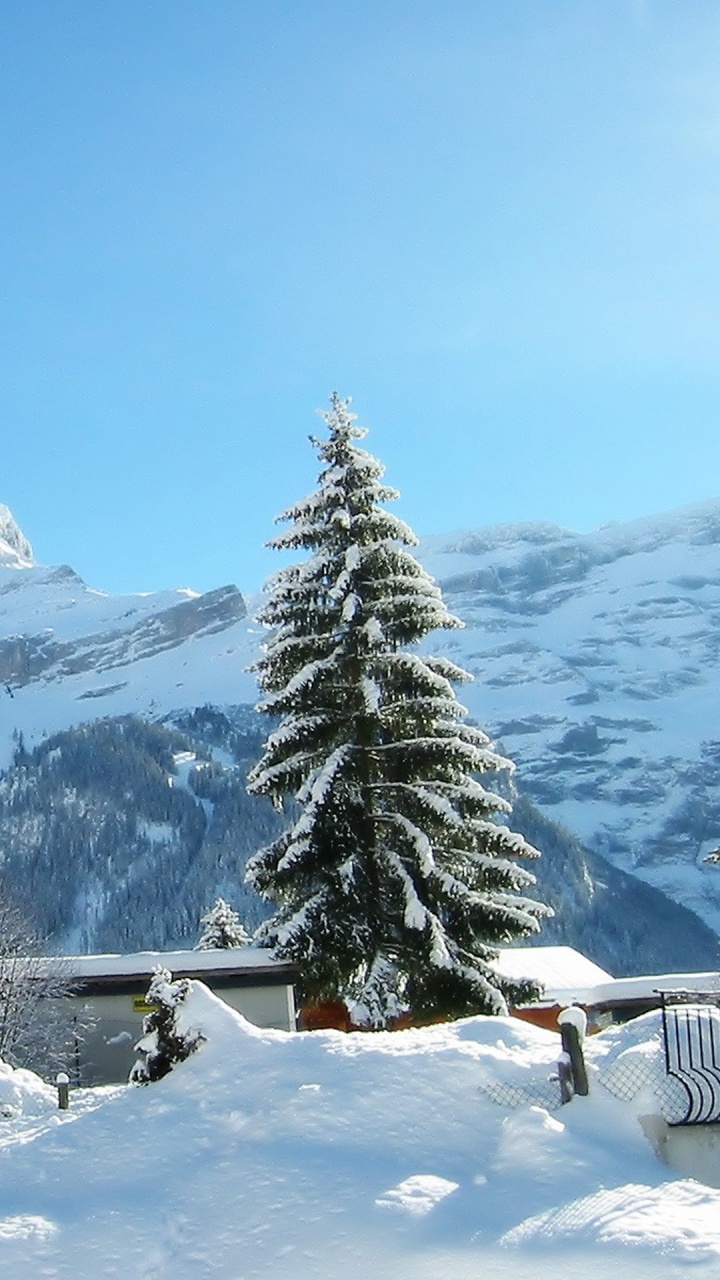 Обои Ле-Дьяблере, шимла, Манали, снег, зима в разрешении 720x1280