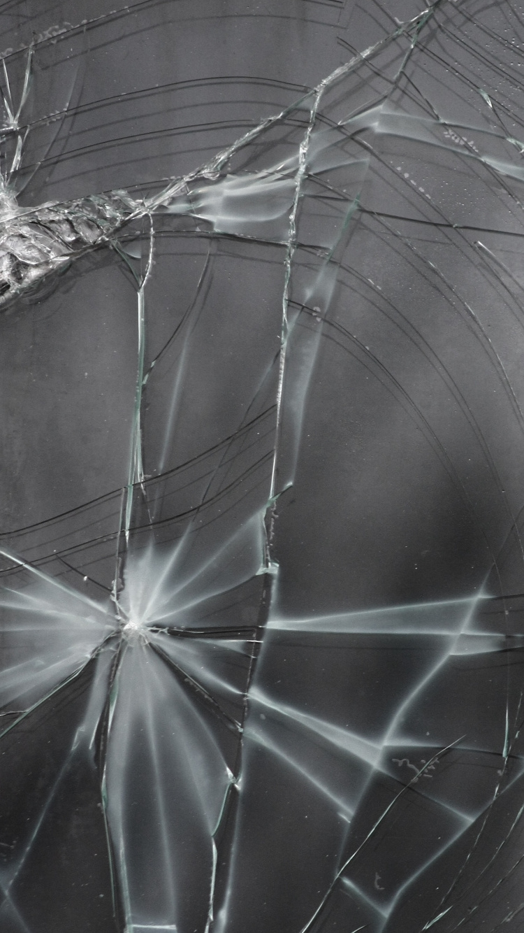 Обои окно, стекло, текстура, черный, паутина в разрешении 750x1334