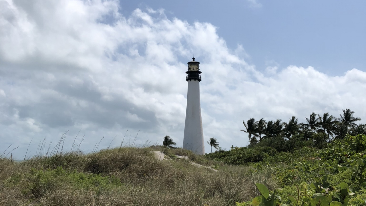 Обои Маяк, растительность, растительное сообщество, вышка, экорегион в разрешении 1280x720