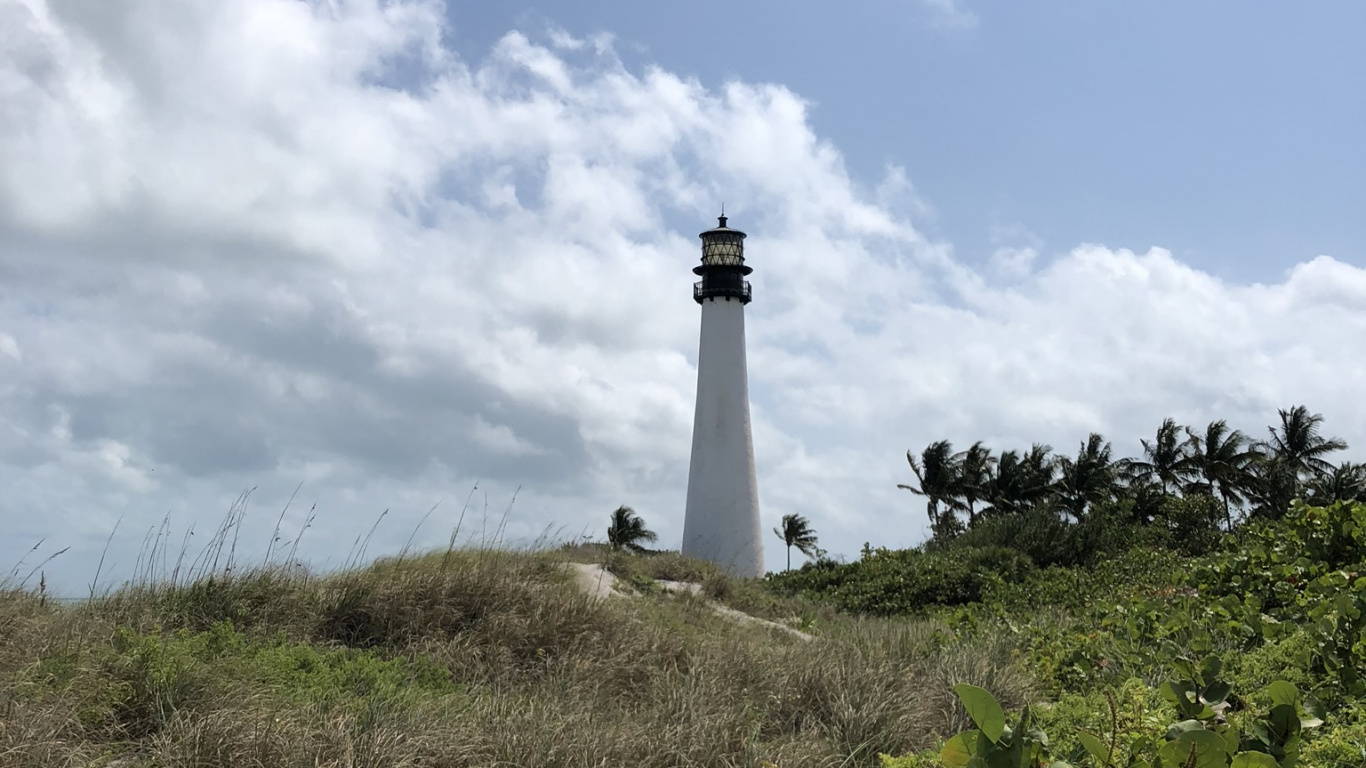 Обои Маяк, растительность, растительное сообщество, вышка, экорегион в разрешении 1366x768