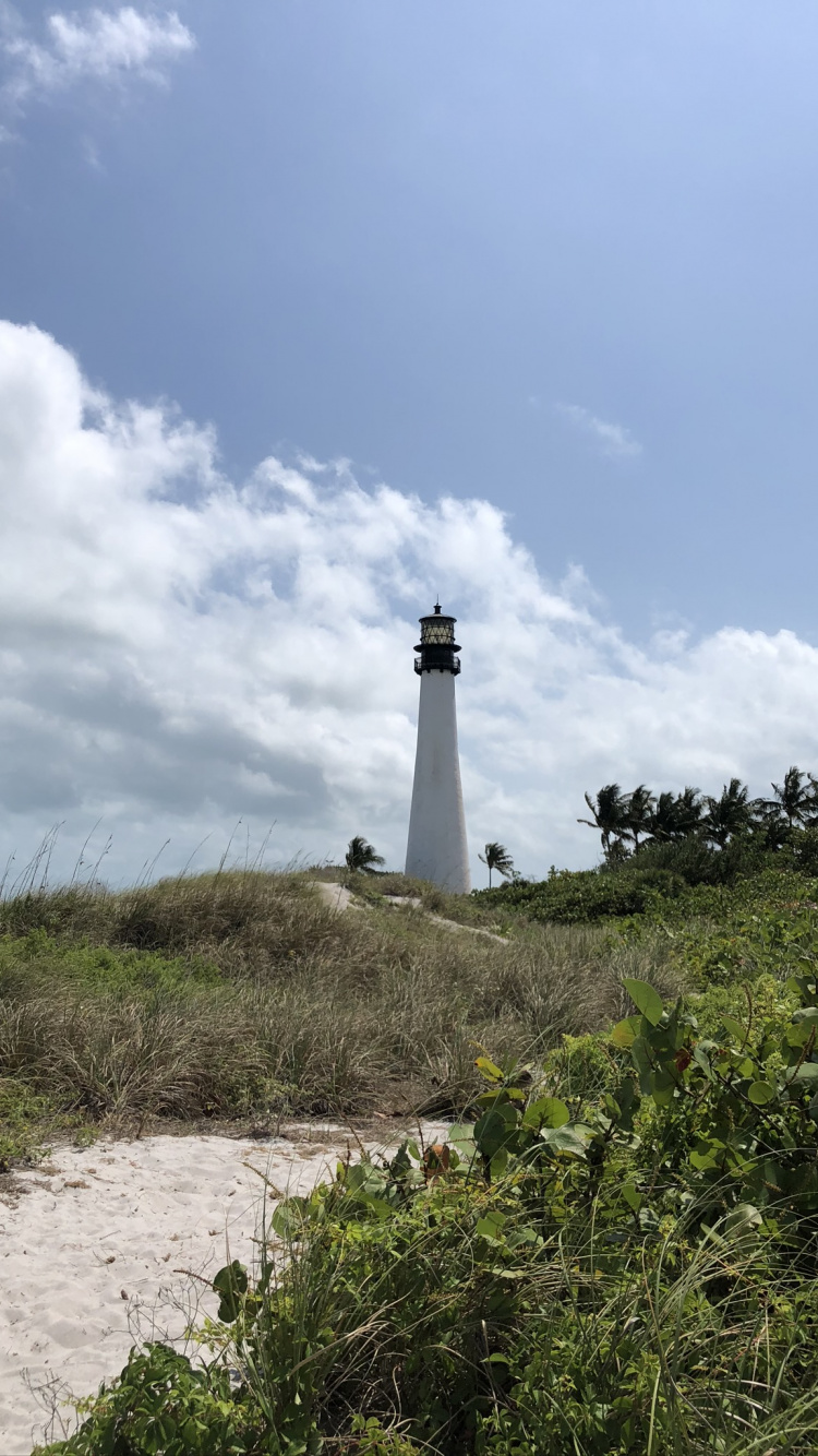 Обои Маяк, растительность, растительное сообщество, вышка, экорегион в разрешении 750x1334