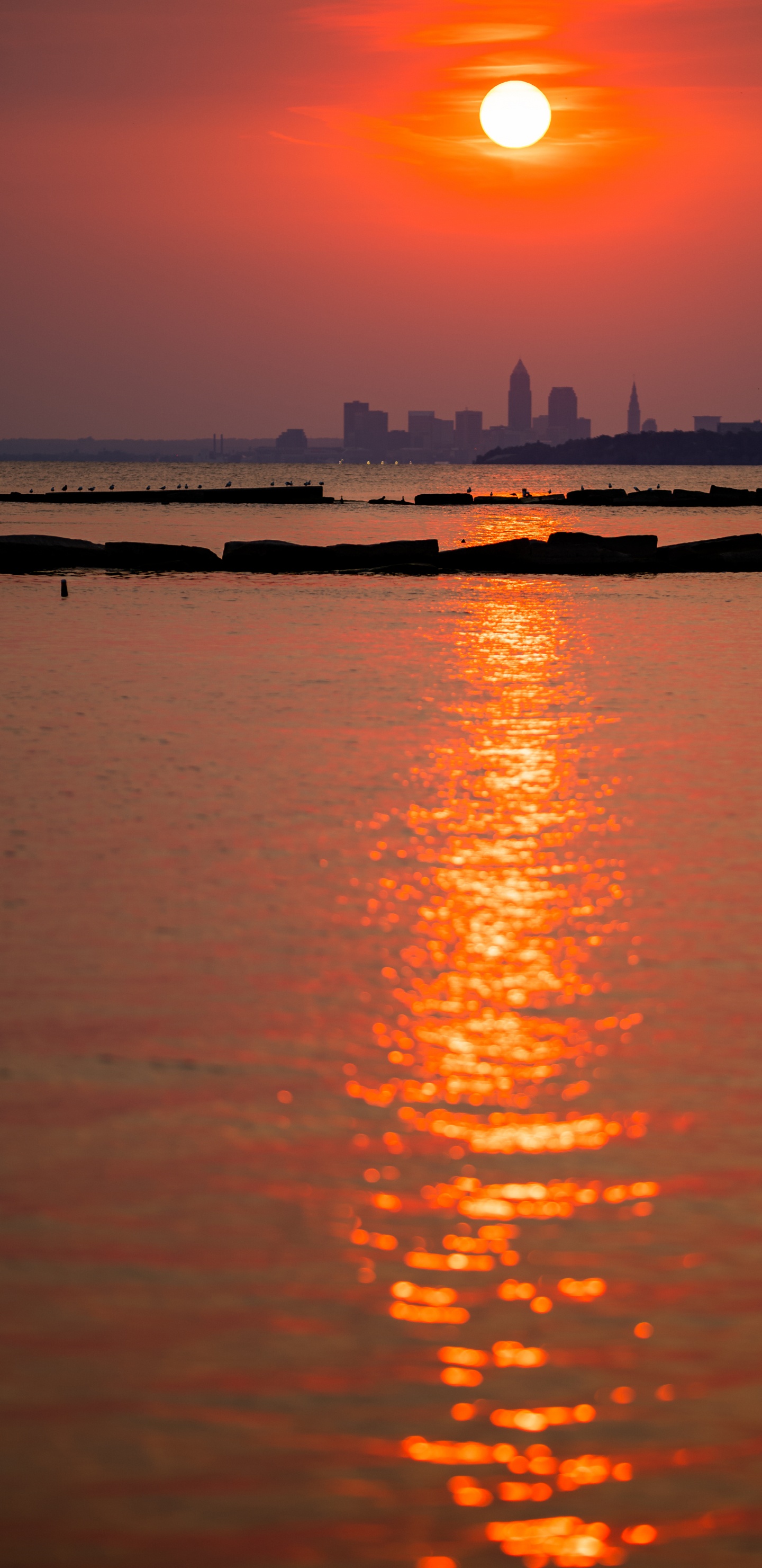 Обои отражение, вода, гидроресурсы, атмосфера, дневное время в разрешении 1440x2960