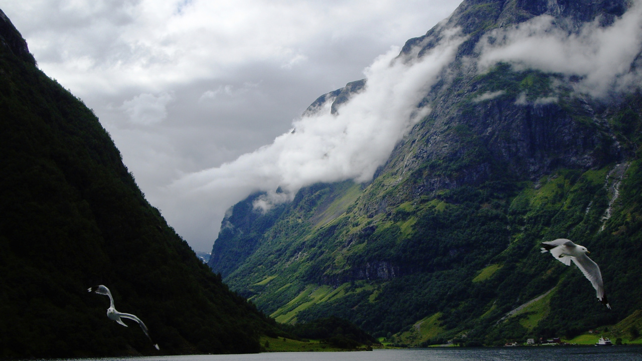 Обои гора, природа, нагорье, фьорд, вода в разрешении 1280x720
