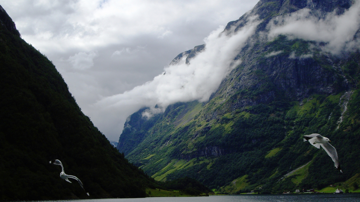 Обои гора, природа, нагорье, фьорд, вода в разрешении 1366x768