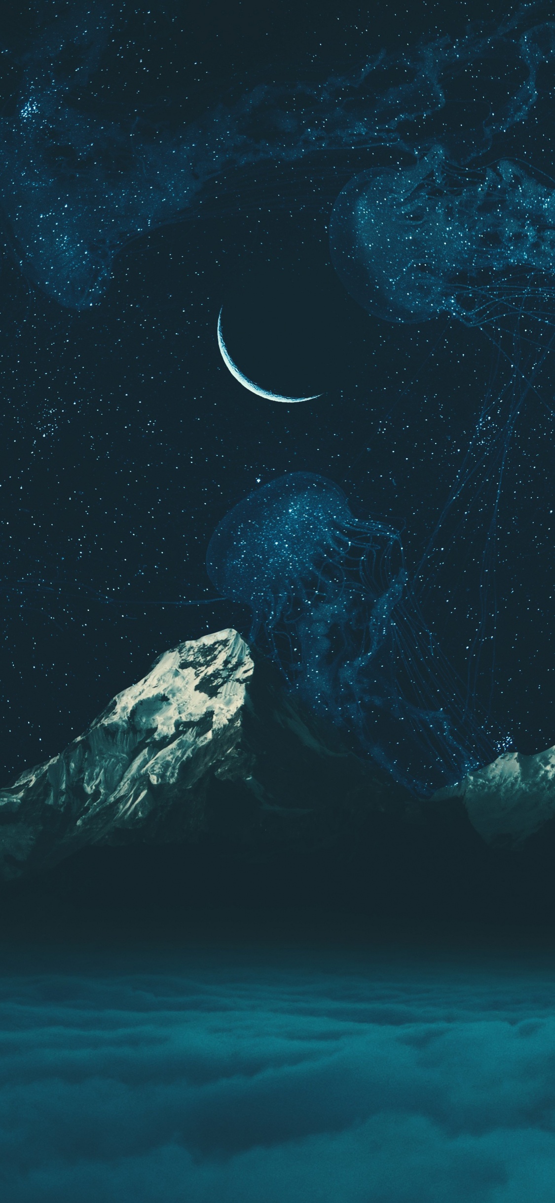 Обои вода, земля, морская биология, подводная среда, море в разрешении 1125x2436