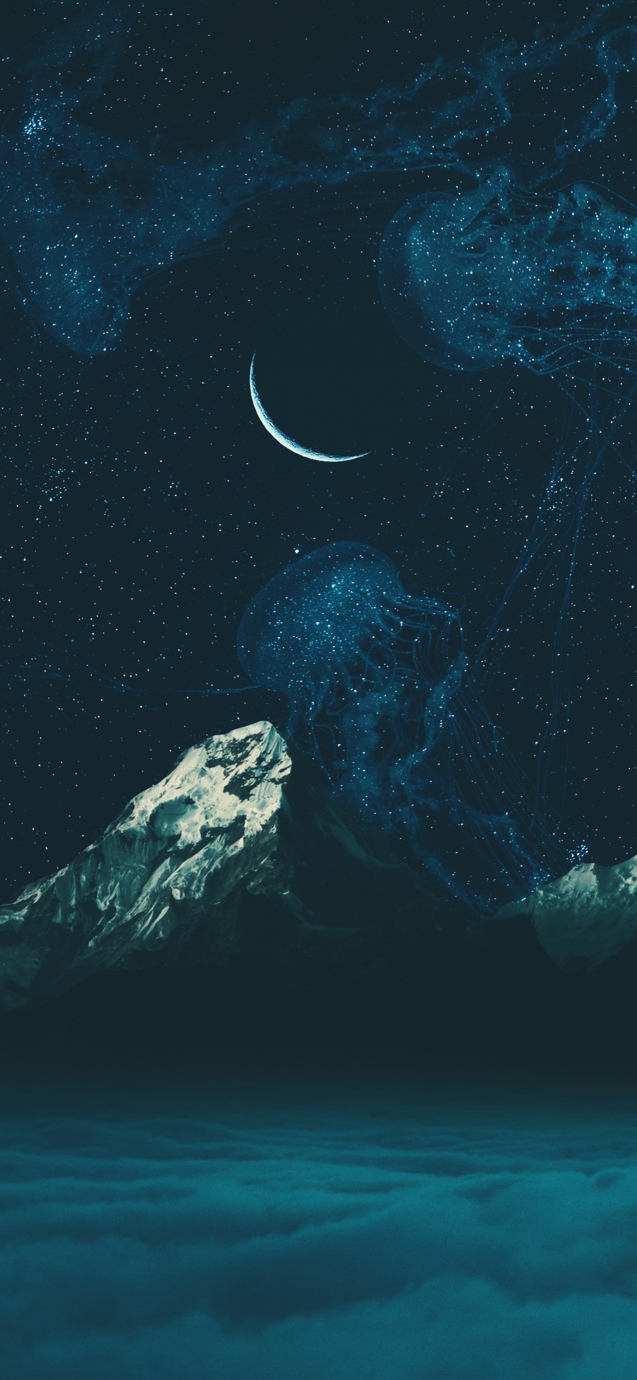 Обои вода, земля, морская биология, подводная среда, море в разрешении 1242x2688