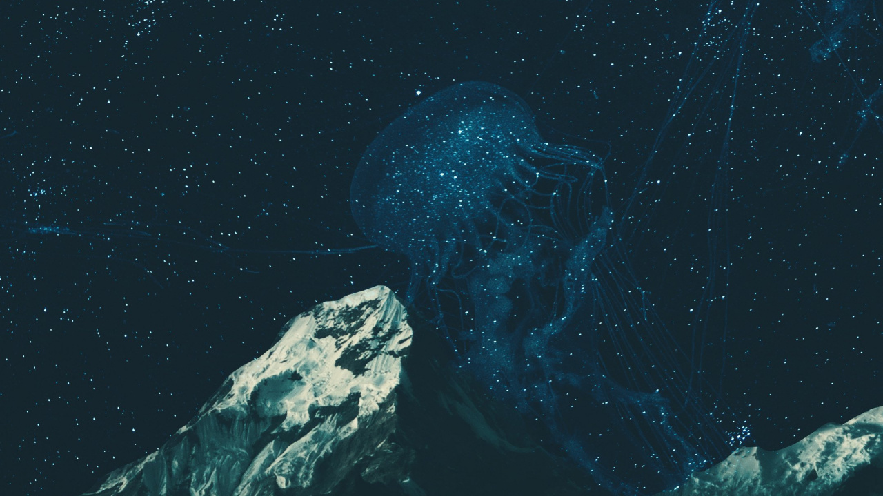 Обои вода, земля, морская биология, подводная среда, море в разрешении 1280x720