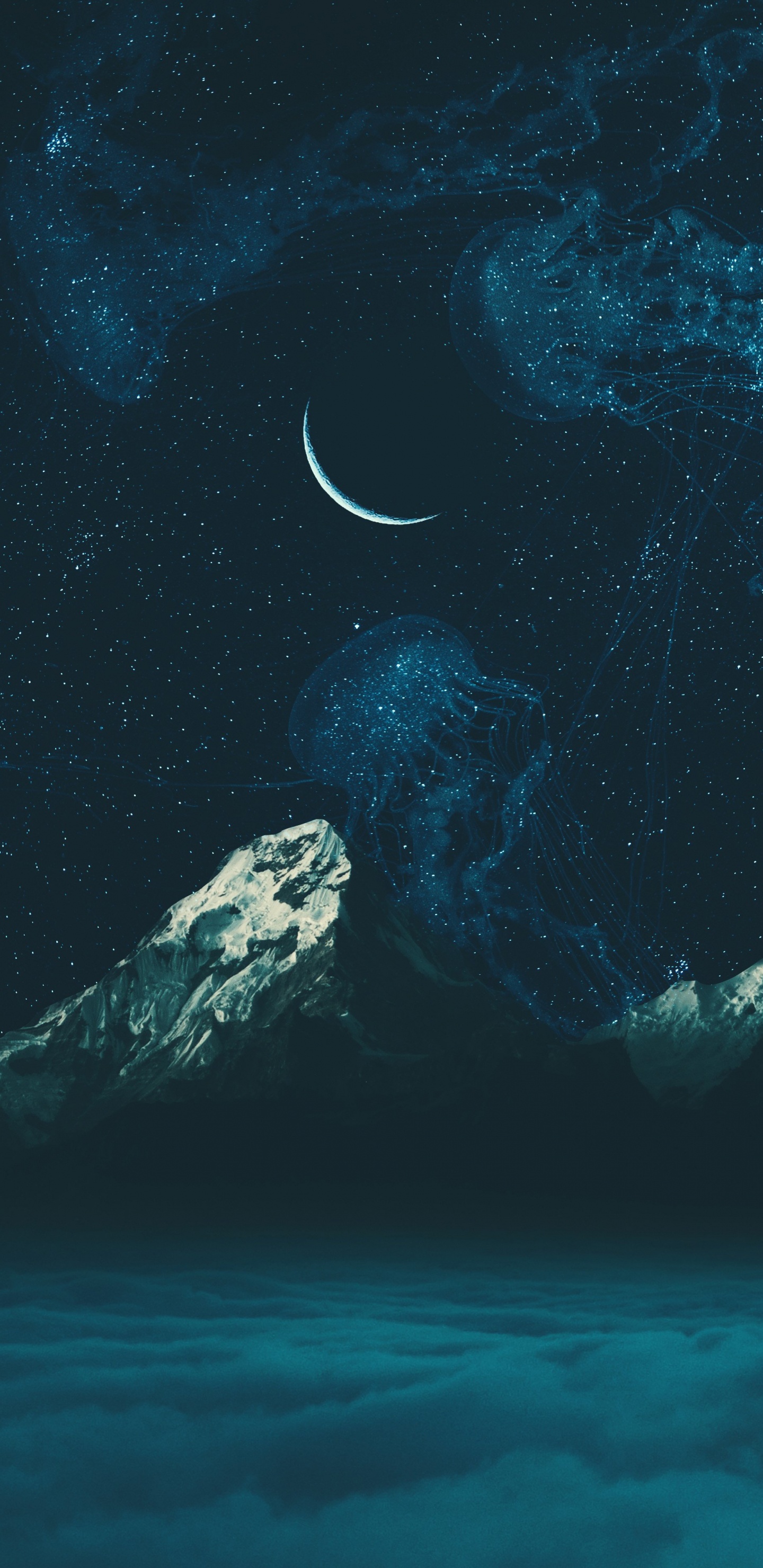 Обои вода, земля, морская биология, подводная среда, море в разрешении 1440x2960