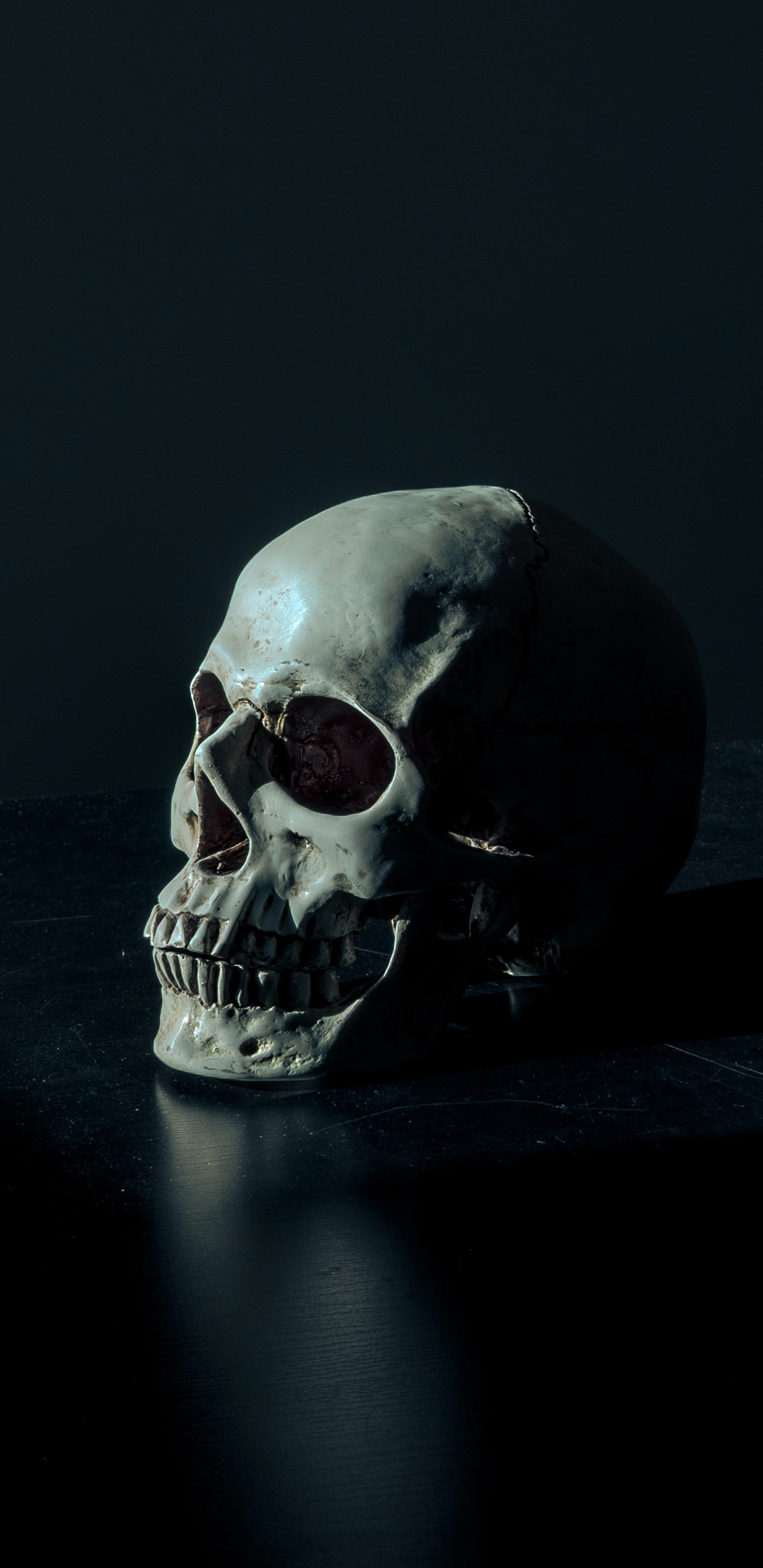 Обои скелет, голова скелета темная, черный череп, человек, человеческое тело в разрешении 1440x2960