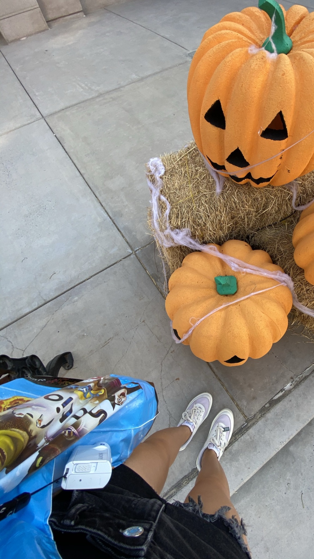 Обои зимний сквош, кабачок, Джек о фонарь, калебас, овощ в разрешении 1080x1920