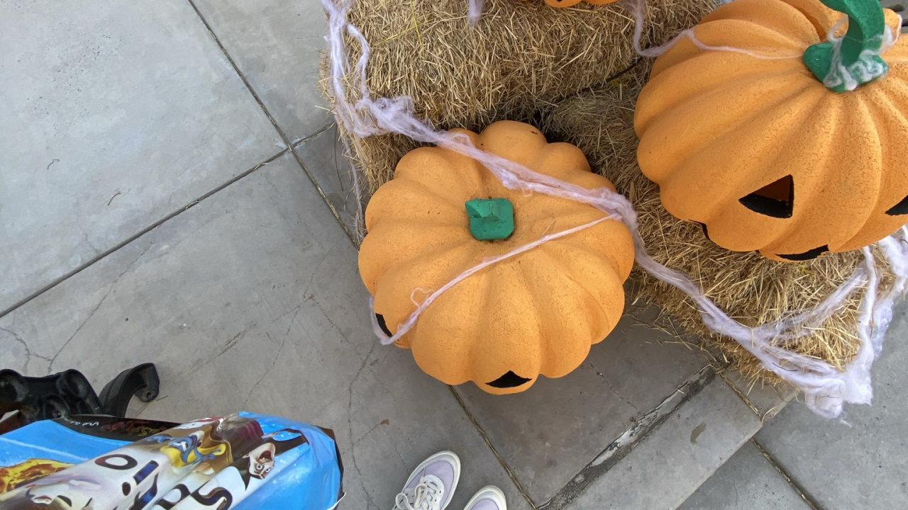 Обои зимний сквош, кабачок, Джек о фонарь, калебас, овощ в разрешении 1280x720