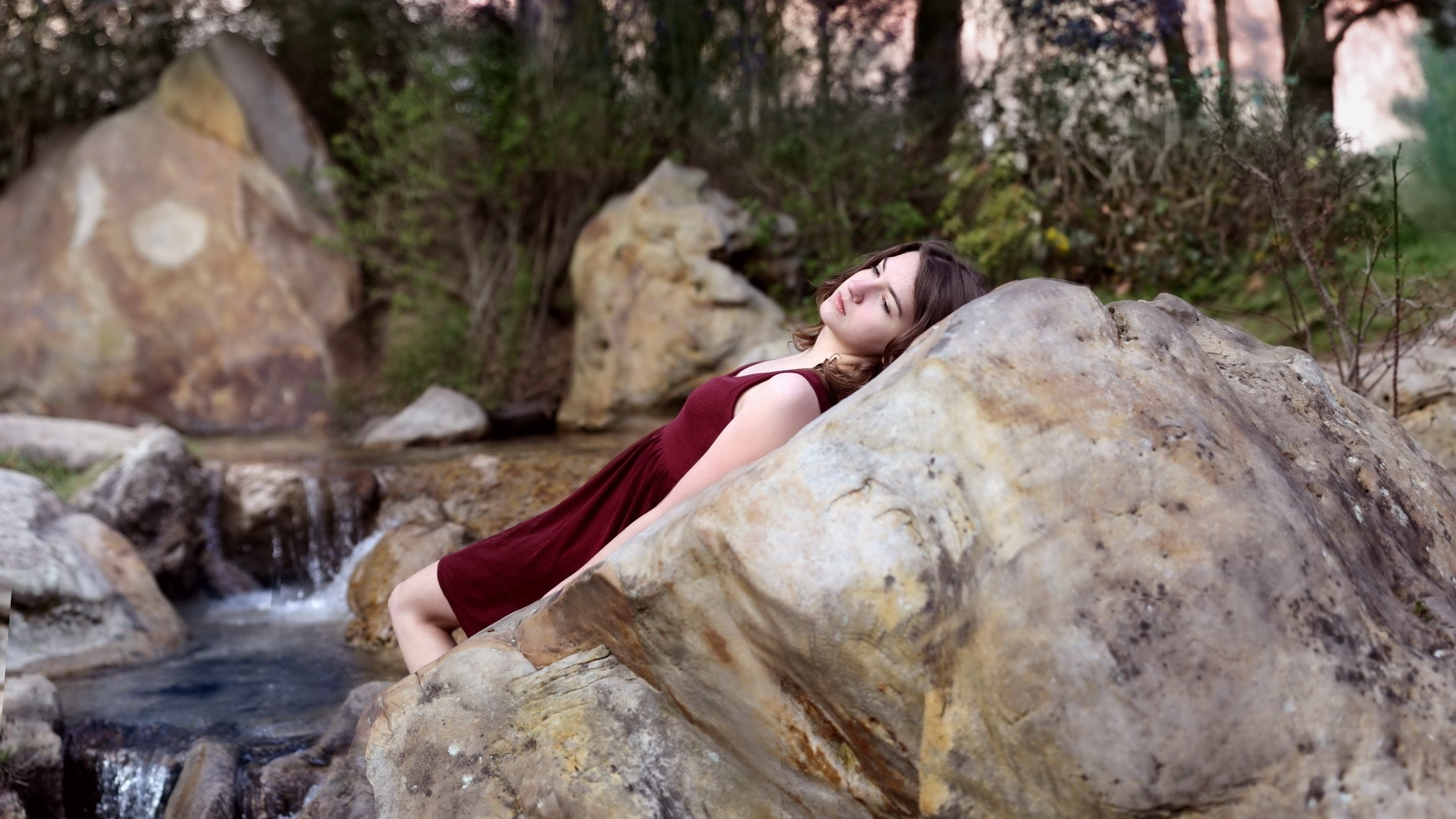 Обои вода, валун, рок, растение, лист в разрешении 2560x1440