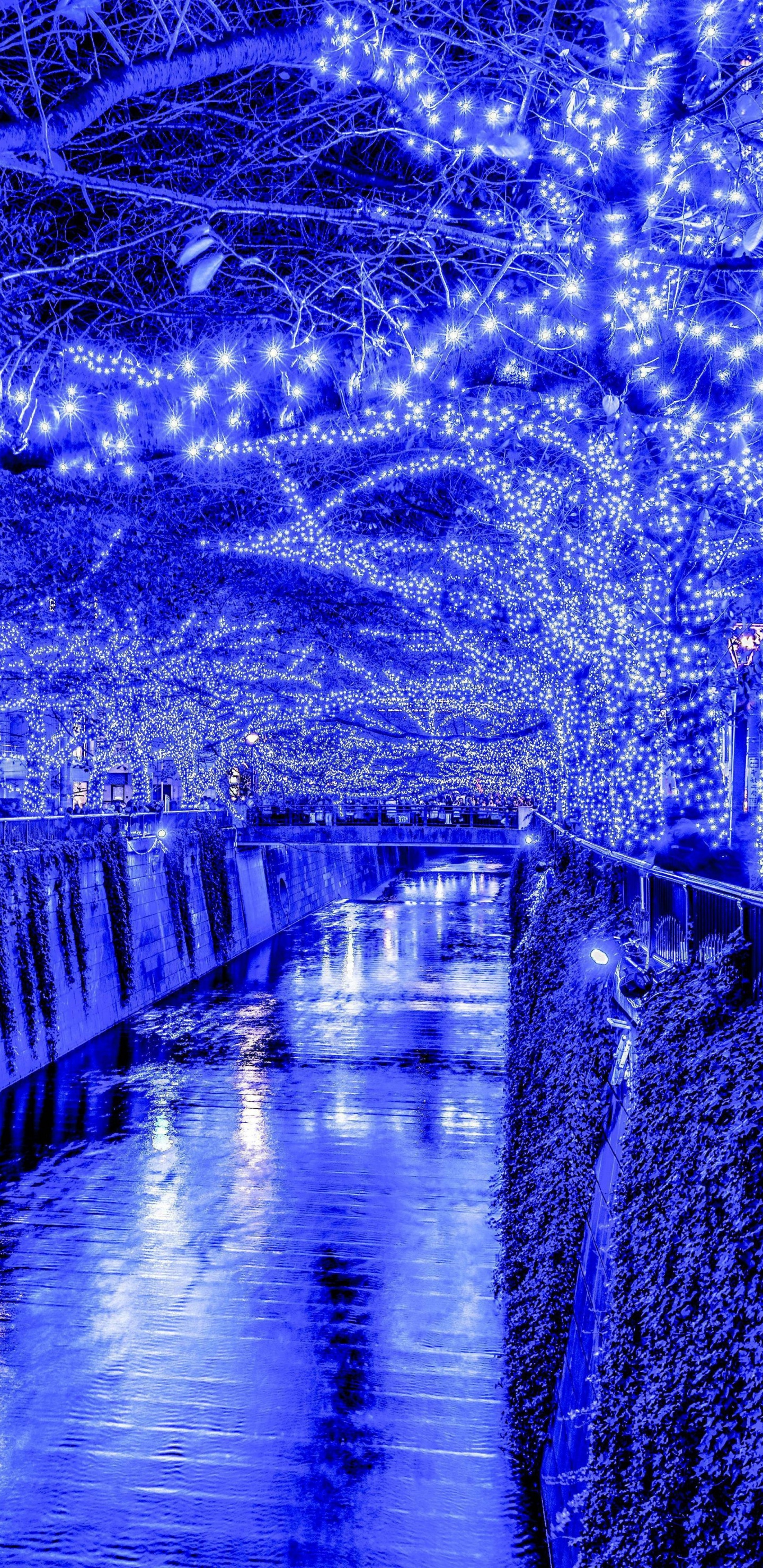 Обои Токио, Рождественский день, синий, вода, отражение в разрешении 1440x2960