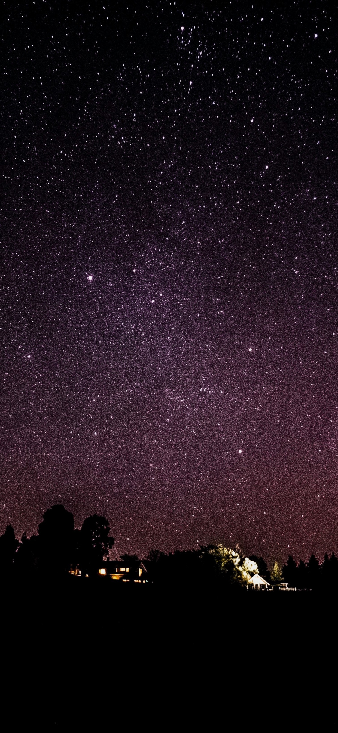 Обои ночь, темнота, дерево, атмосфера, звезда в разрешении 1125x2436
