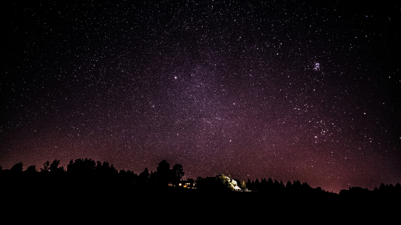 Обои ночь, темнота, дерево, атмосфера, звезда в разрешении 1280x720