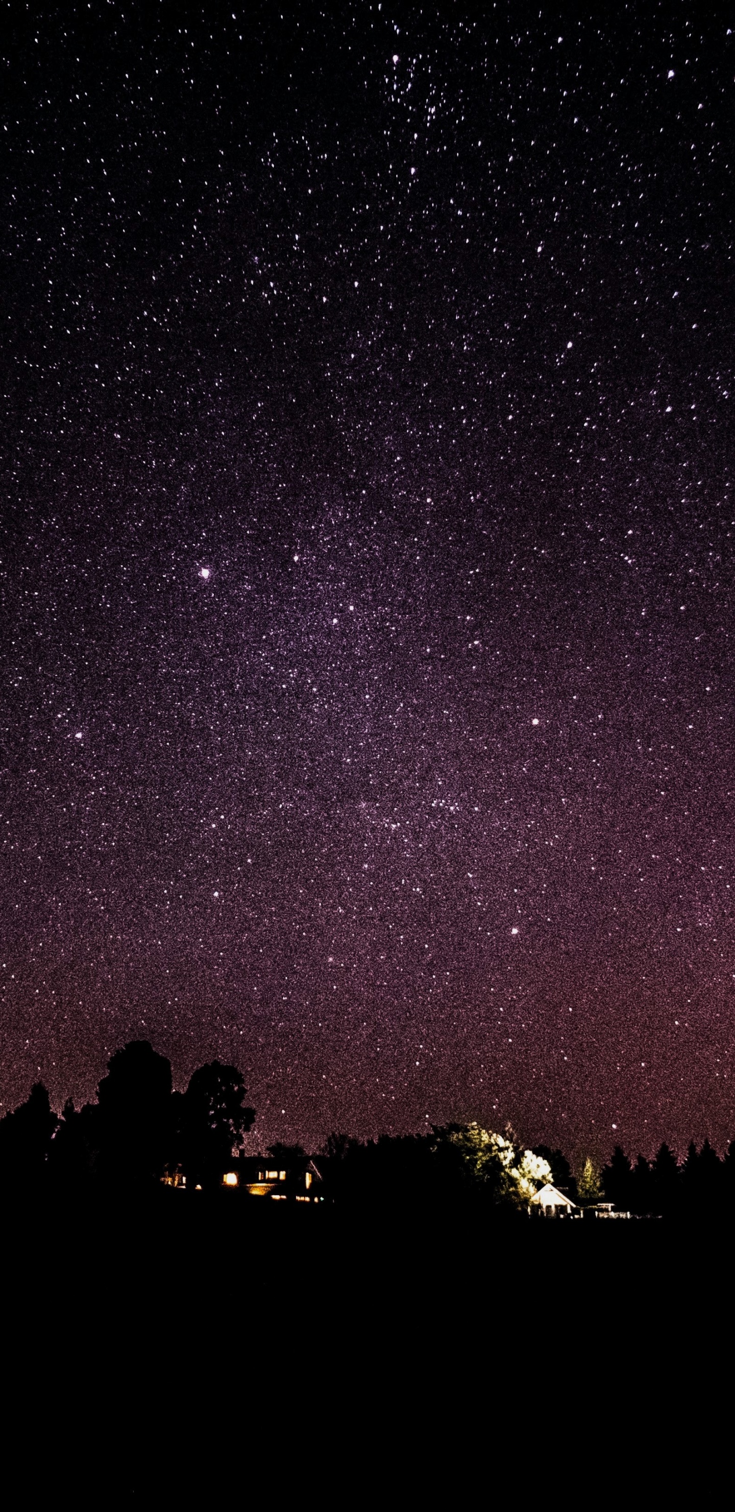 Обои ночь, темнота, дерево, атмосфера, звезда в разрешении 1440x2960