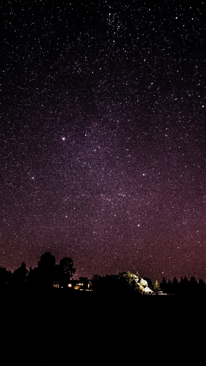 Обои ночь, темнота, дерево, атмосфера, звезда в разрешении 720x1280