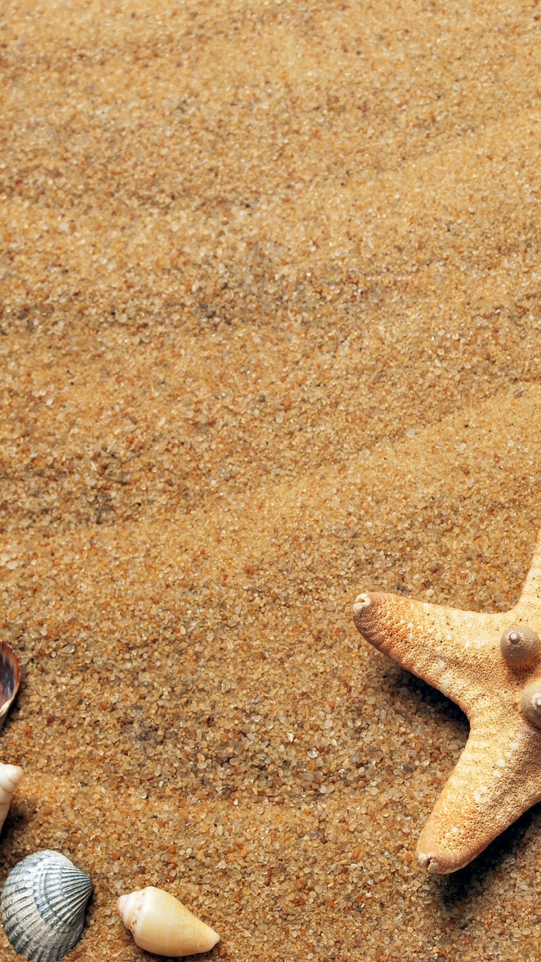 Обои пляж, лето, свет, окружающая среда, натуральный материал в разрешении 1080x1920