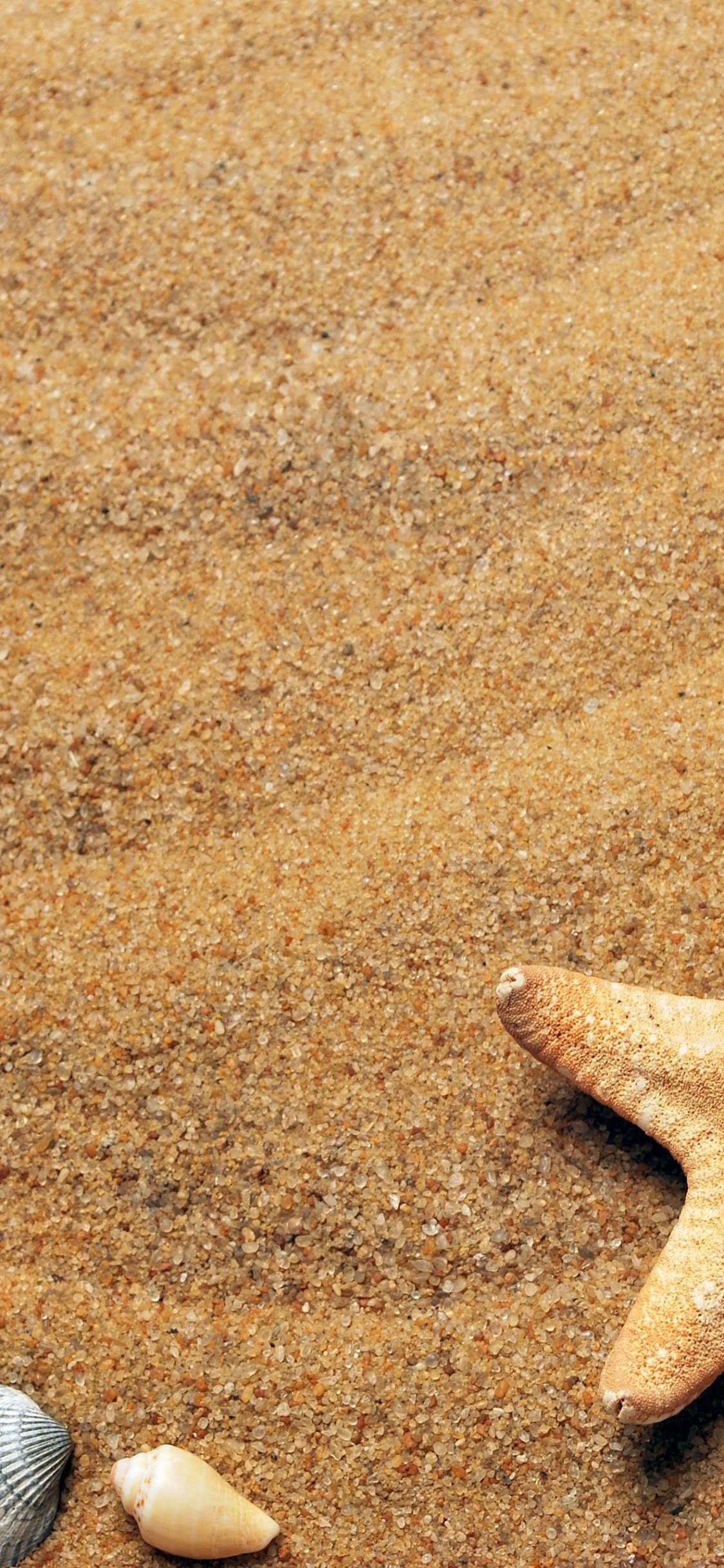 Обои пляж, лето, свет, окружающая среда, натуральный материал в разрешении 1125x2436