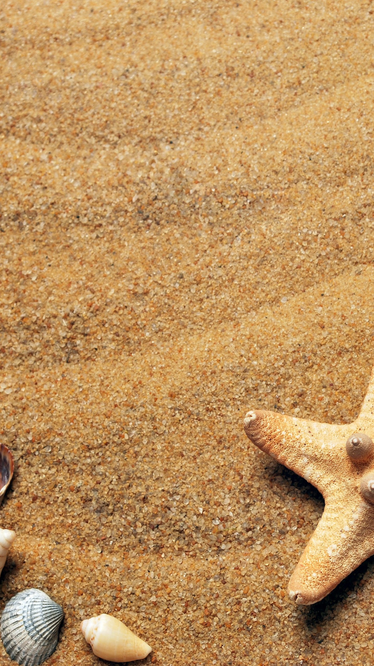 Обои пляж, лето, свет, окружающая среда, натуральный материал в разрешении 750x1334