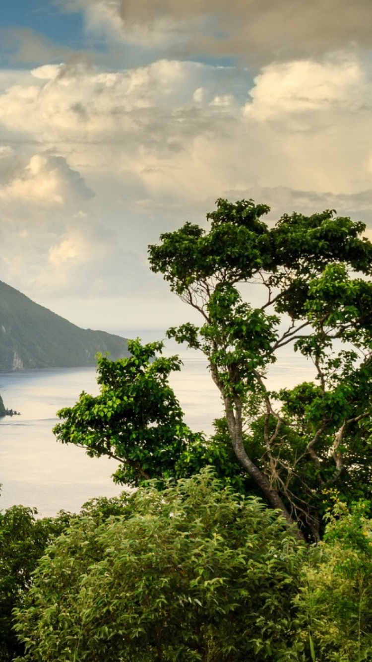 Обои Грос-Питон, Санкт-Инвест-Люсию, природа, гора, нагорье в разрешении 750x1334